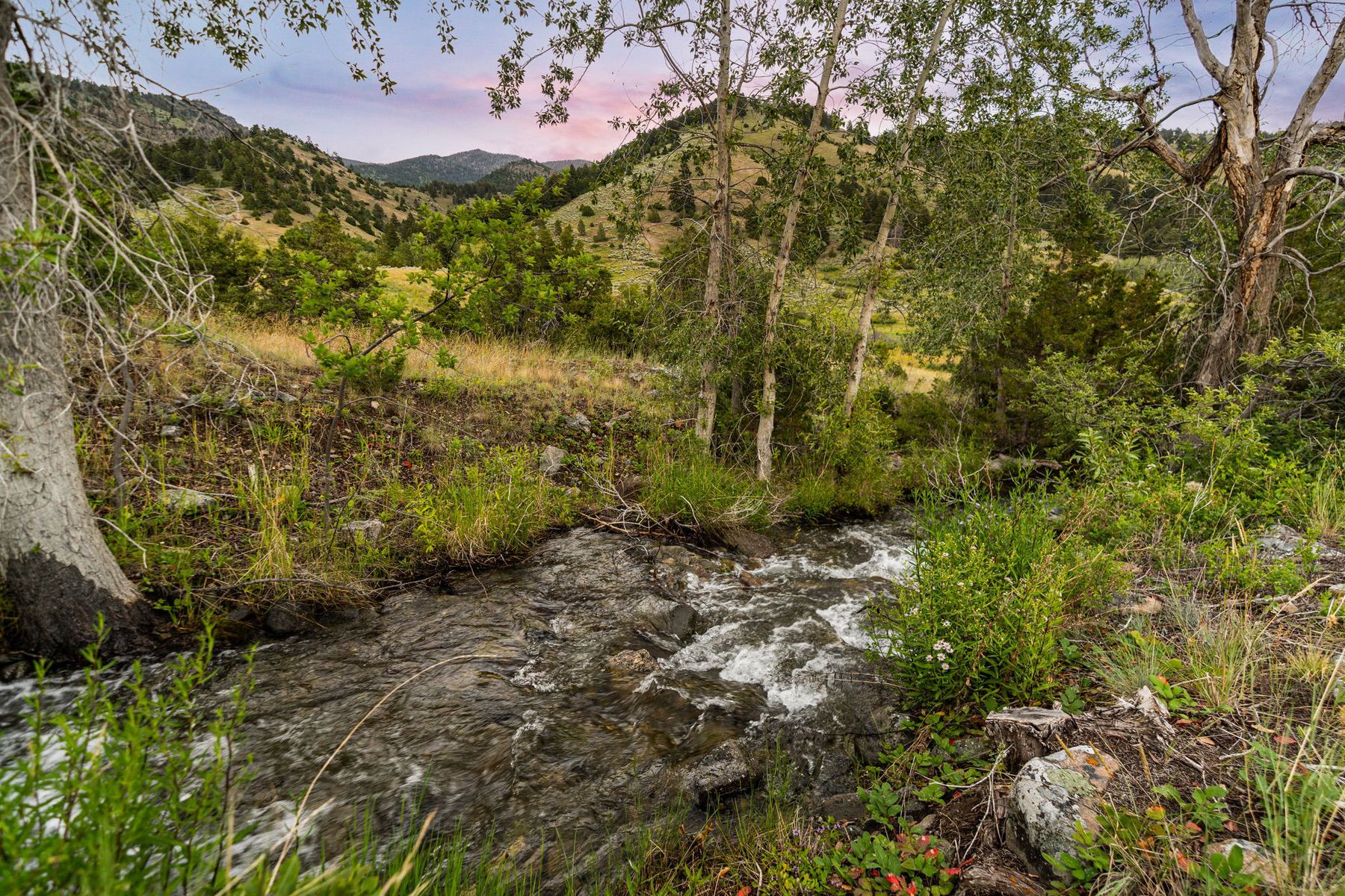 1428 Evan Reese Creek Road