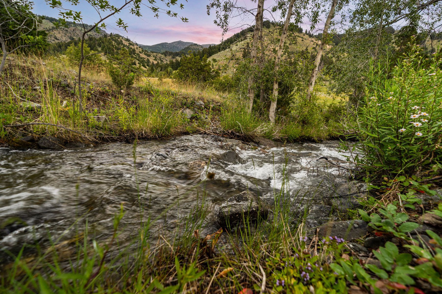 1428 Evan Reese Creek Road