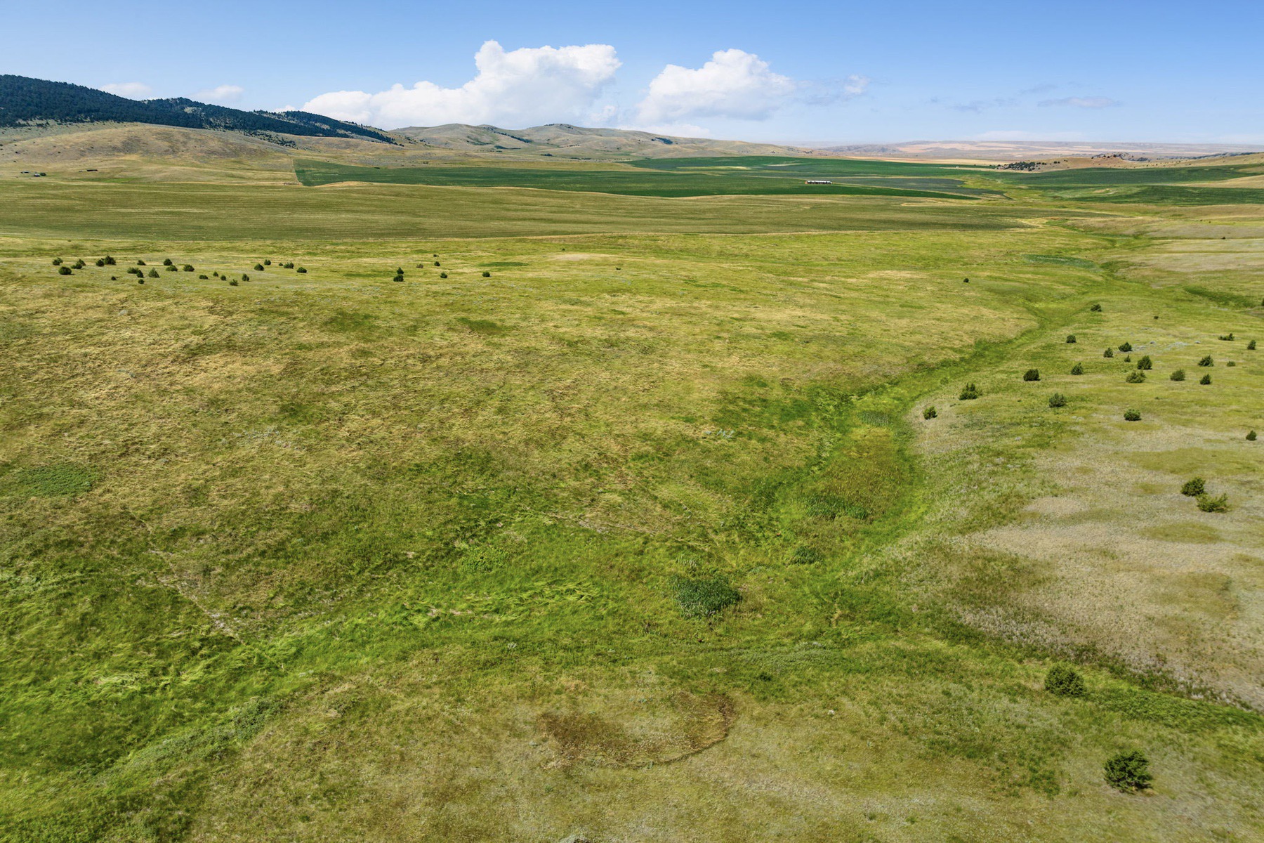 TBD Montana Ranch Trail