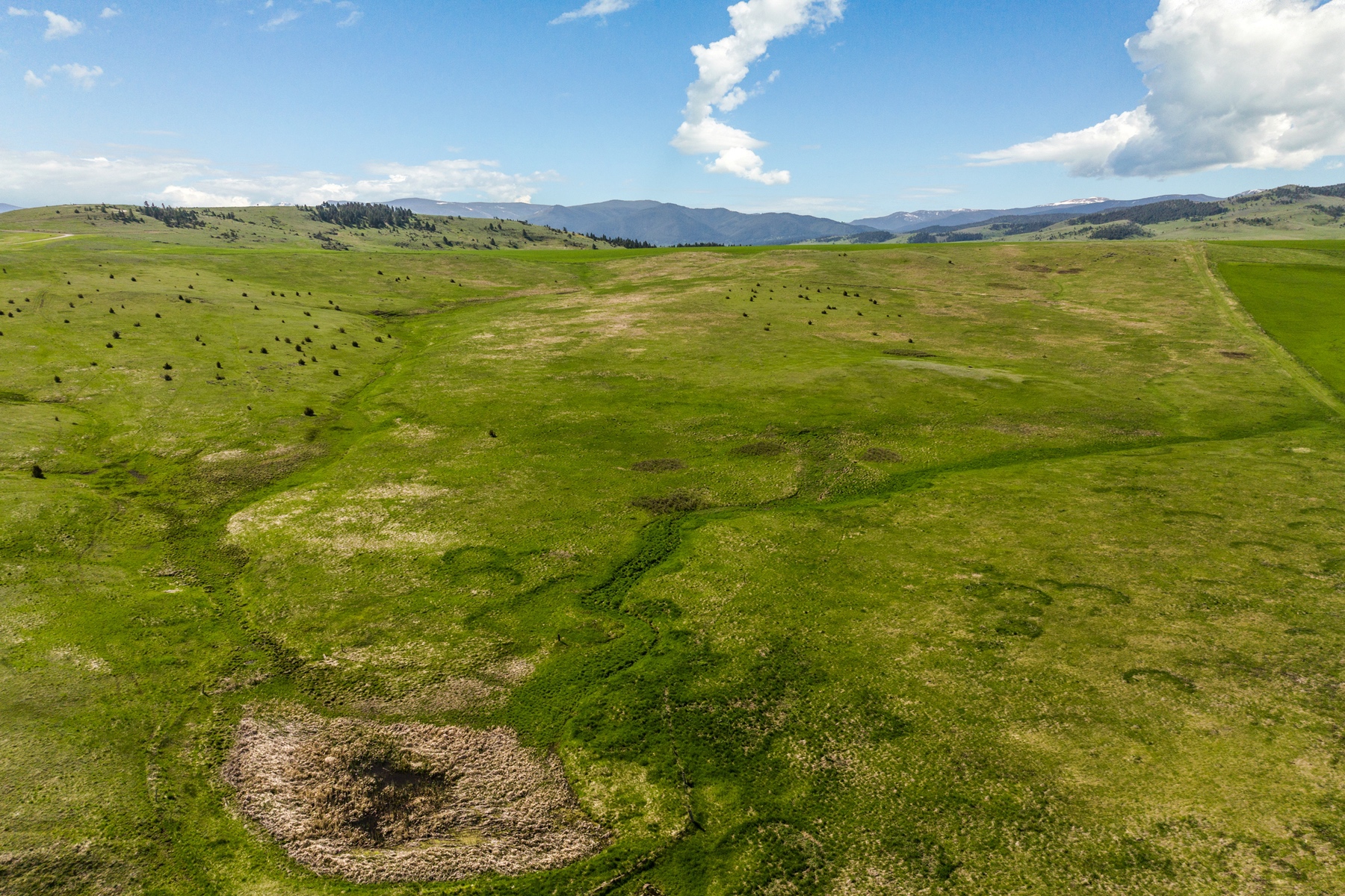 TBD Montana Ranch Trail