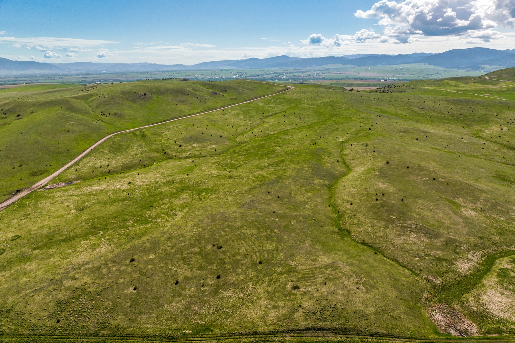 TBD Montana Ranch Trail