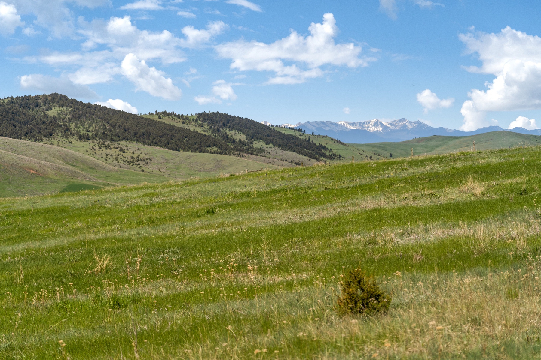 TBD Montana Ranch Trail