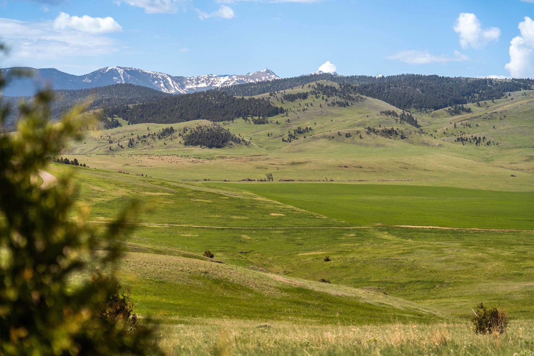 TBD Montana Ranch Trail