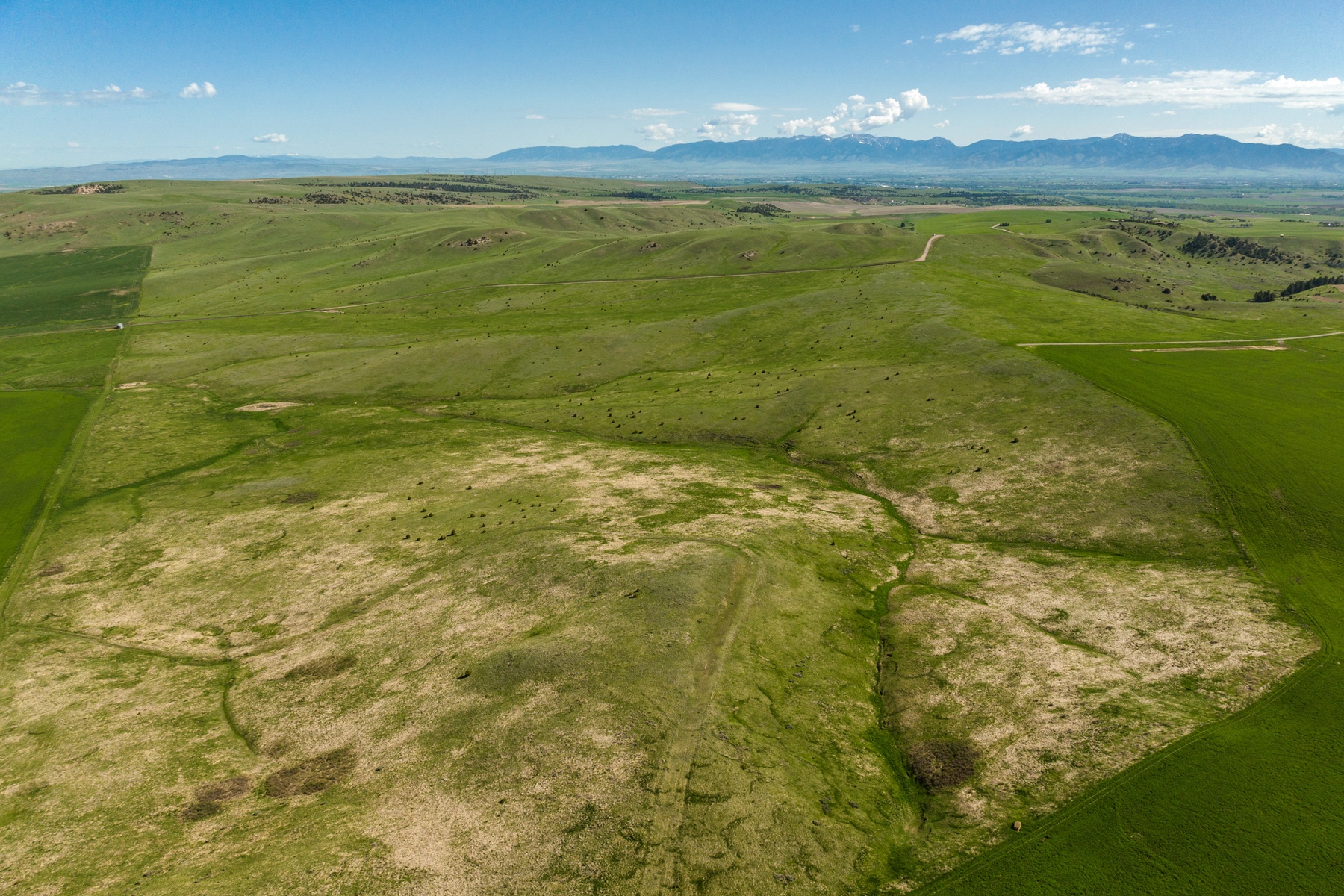TBD Montana Ranch Trail