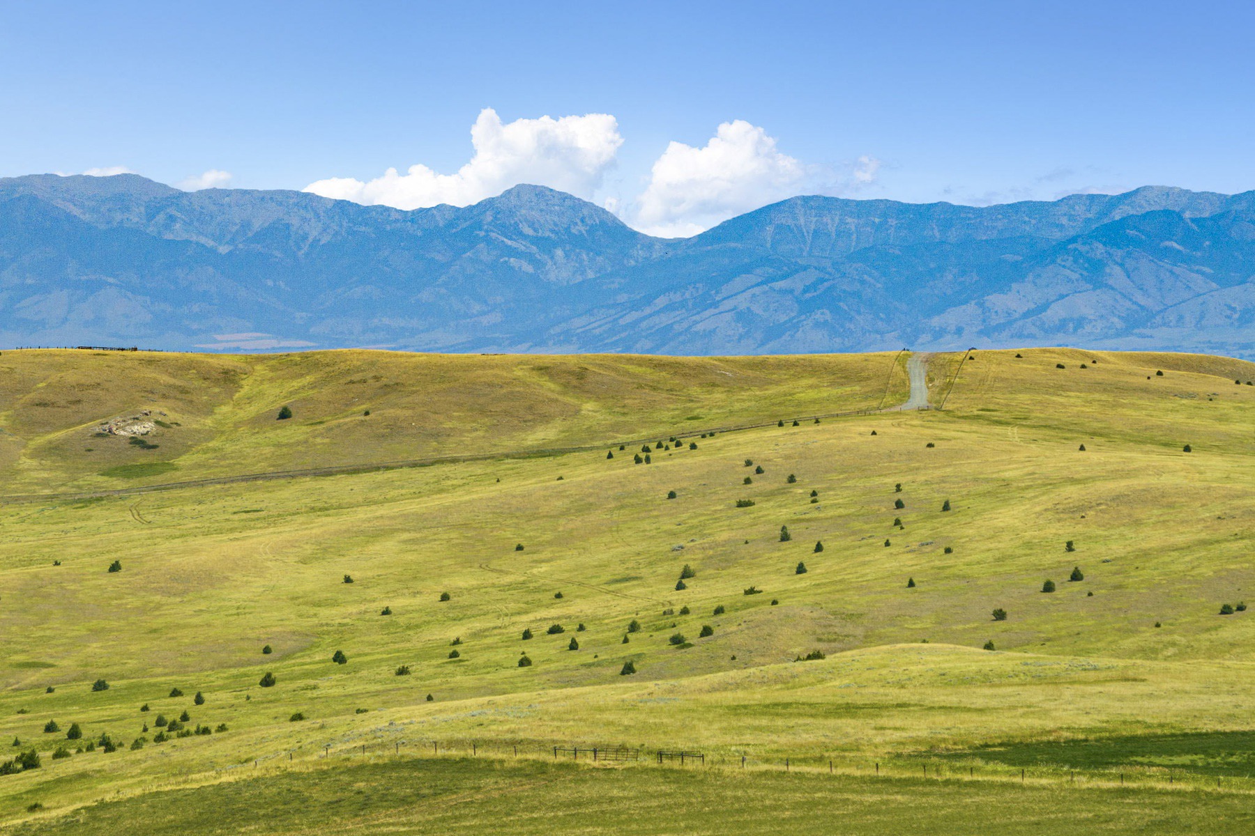 TBD Montana Ranch Trail