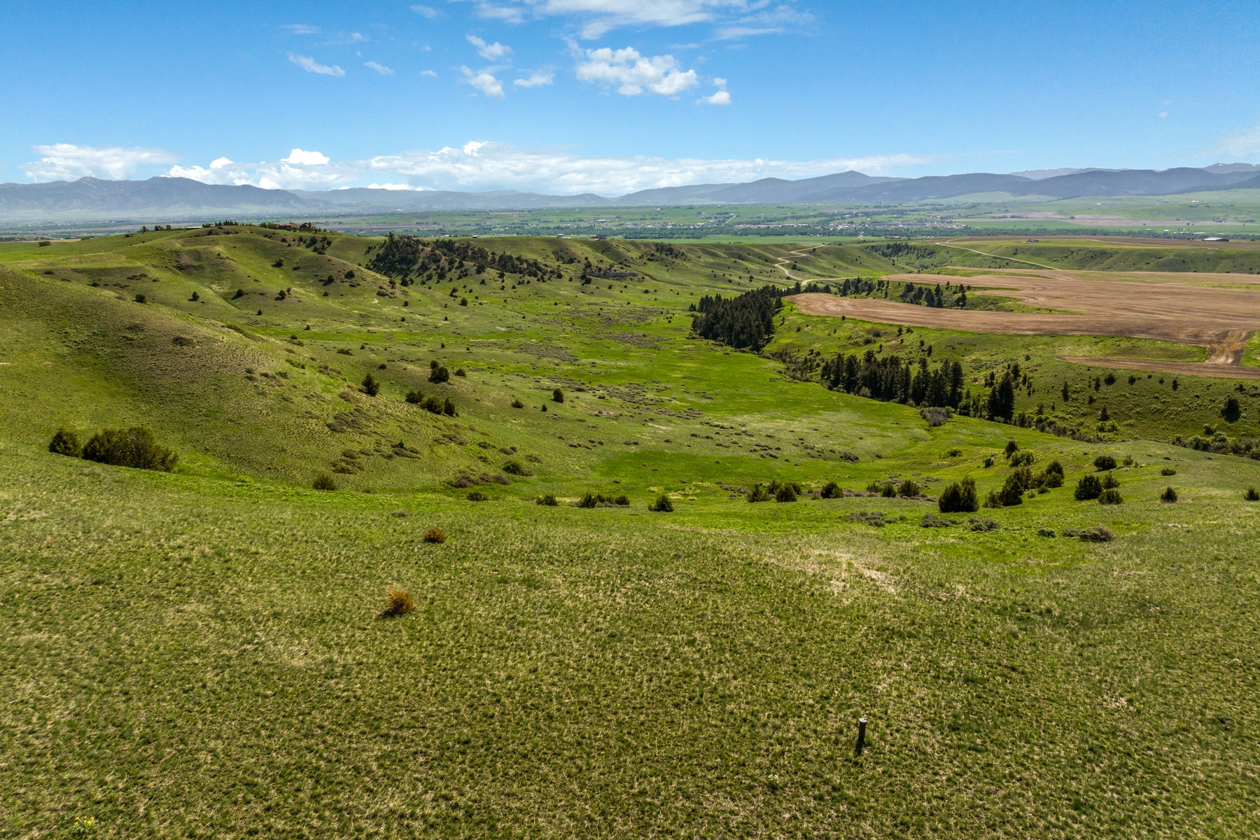 TBD Montana Ranch Trail