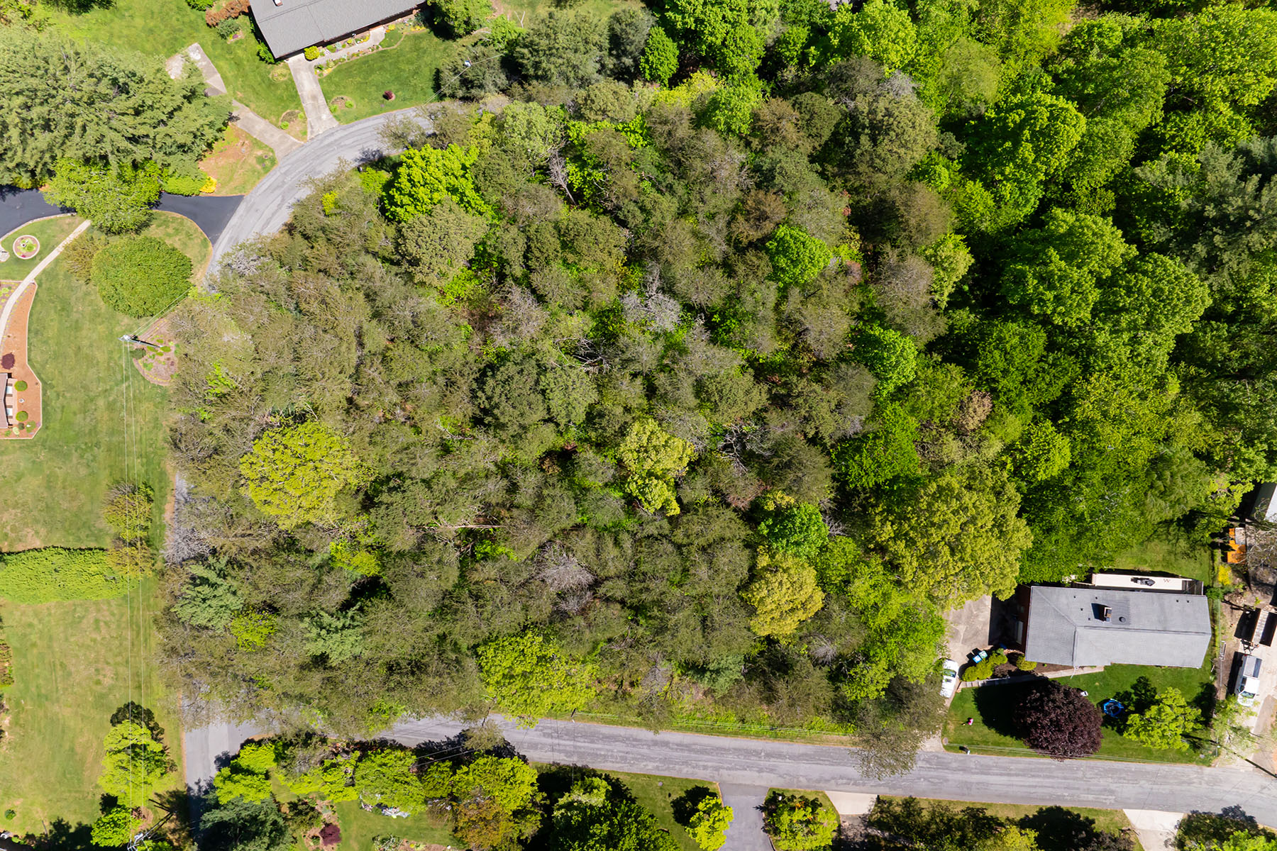 Lots #10 & 11 Holly Hill Court