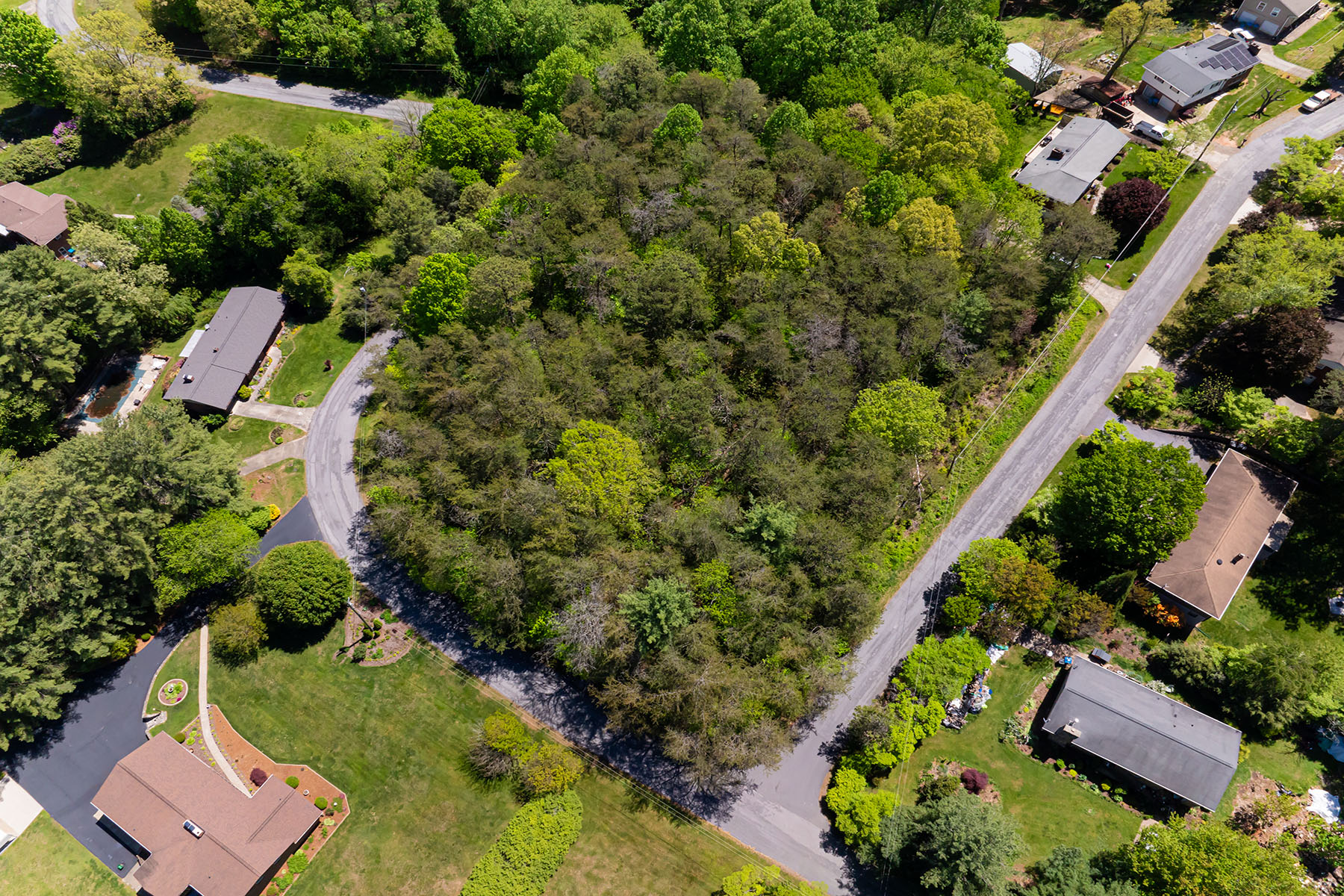 Lots #10 & 11 Holly Hill Court