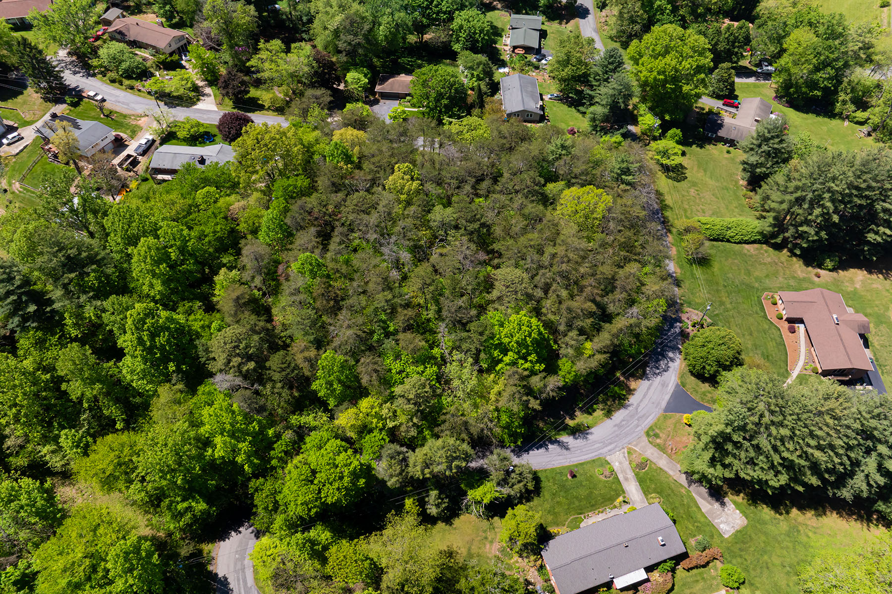 Lots #10 & 11 Holly Hill Court