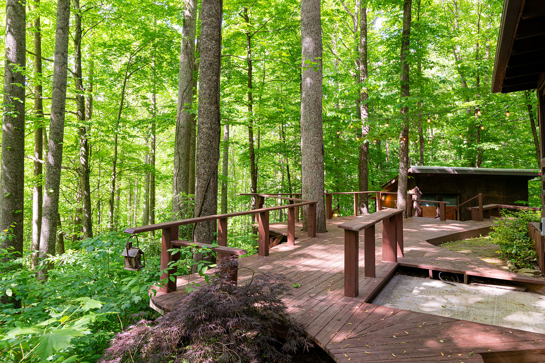 412 Soco Acres Road