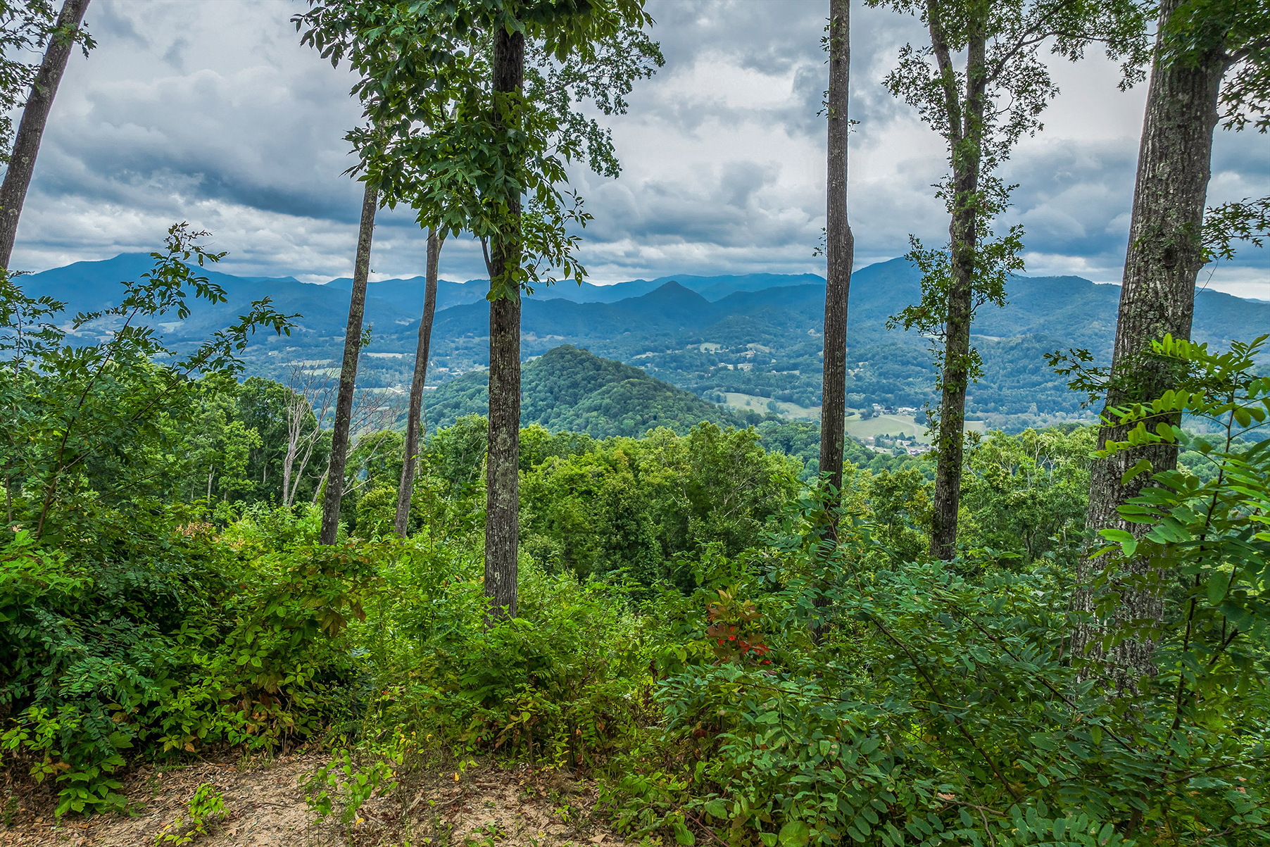 Lot #12 Signature Row Boulevard