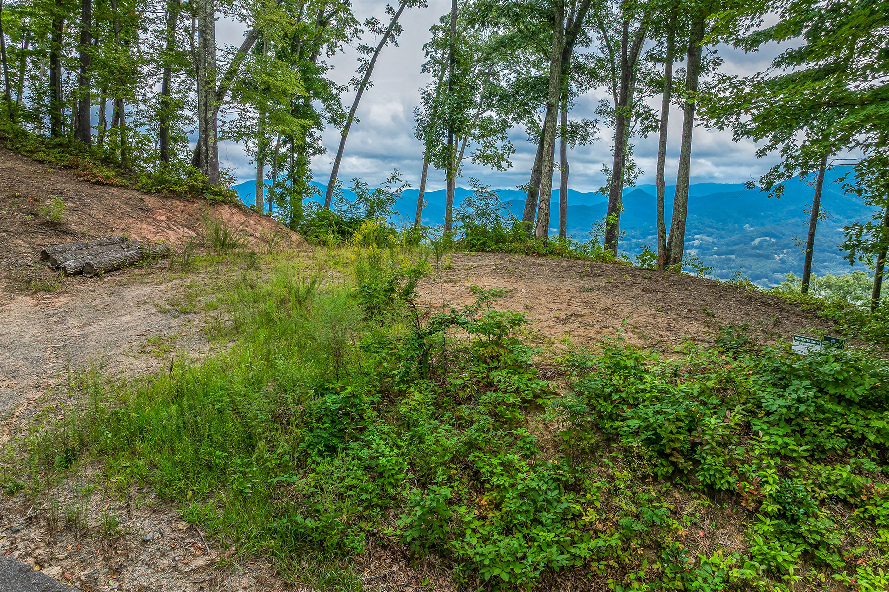Lot #12 Signature Row Boulevard