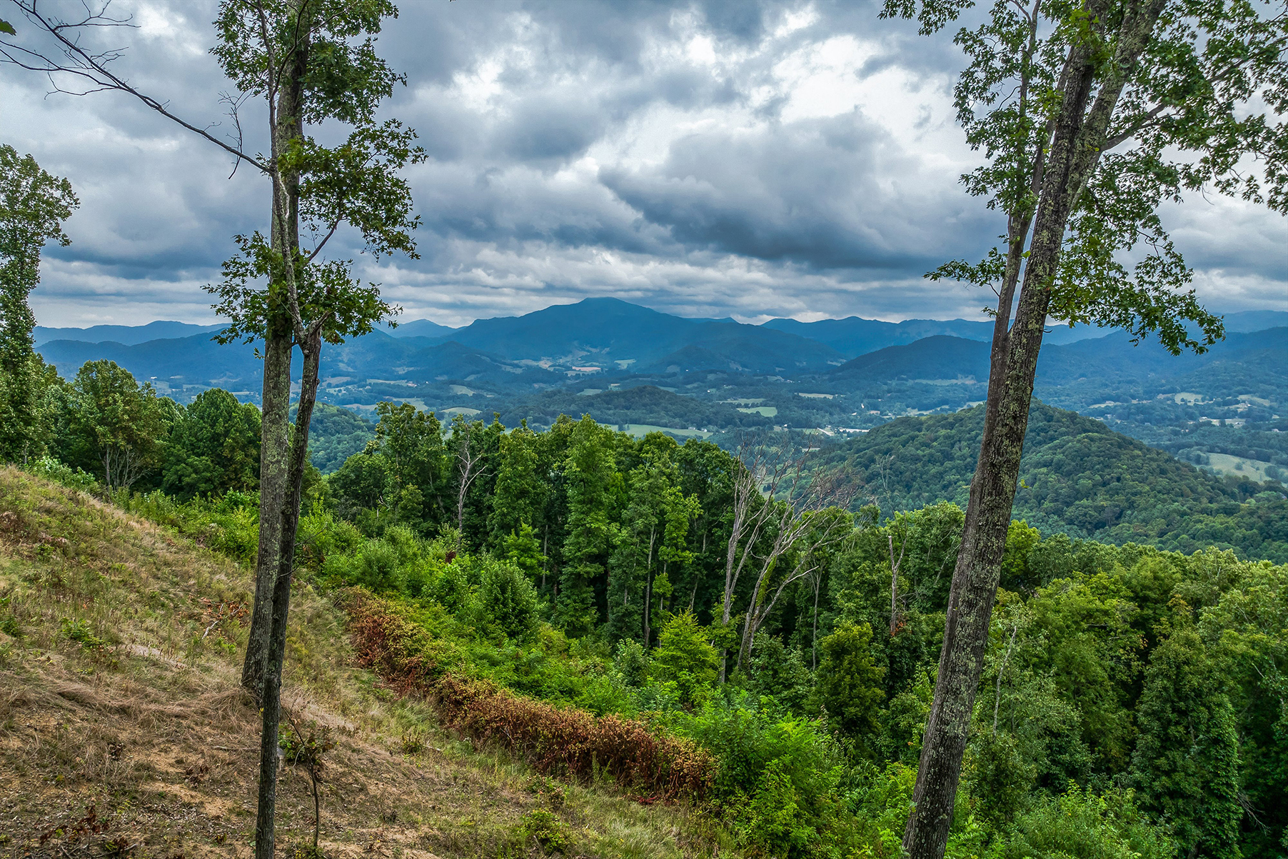 Lot #12 Signature Row Boulevard
