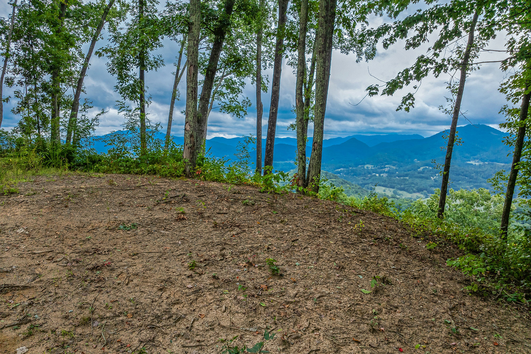 Lot #12 Signature Row Boulevard
