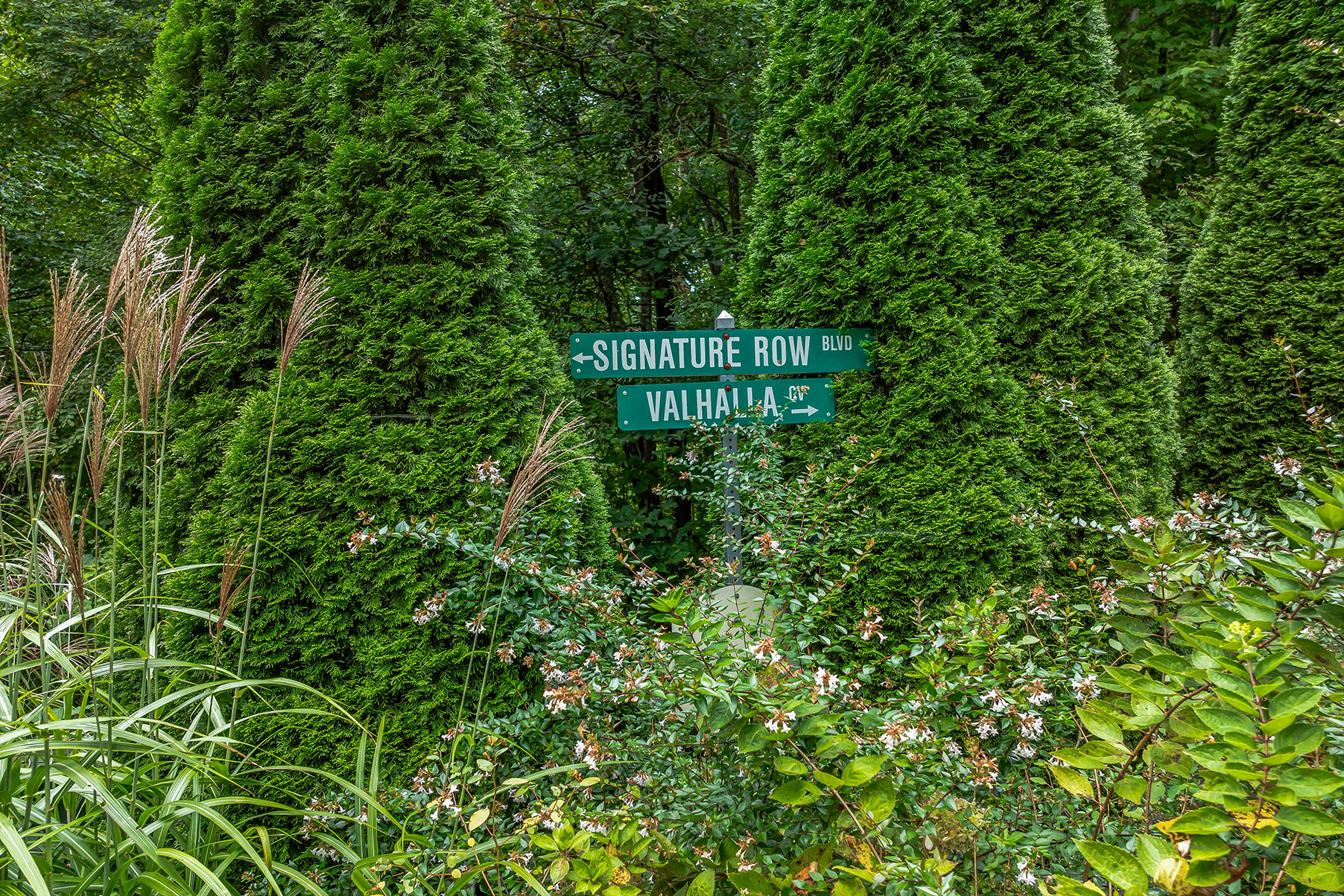 Lot #12 Signature Row Boulevard