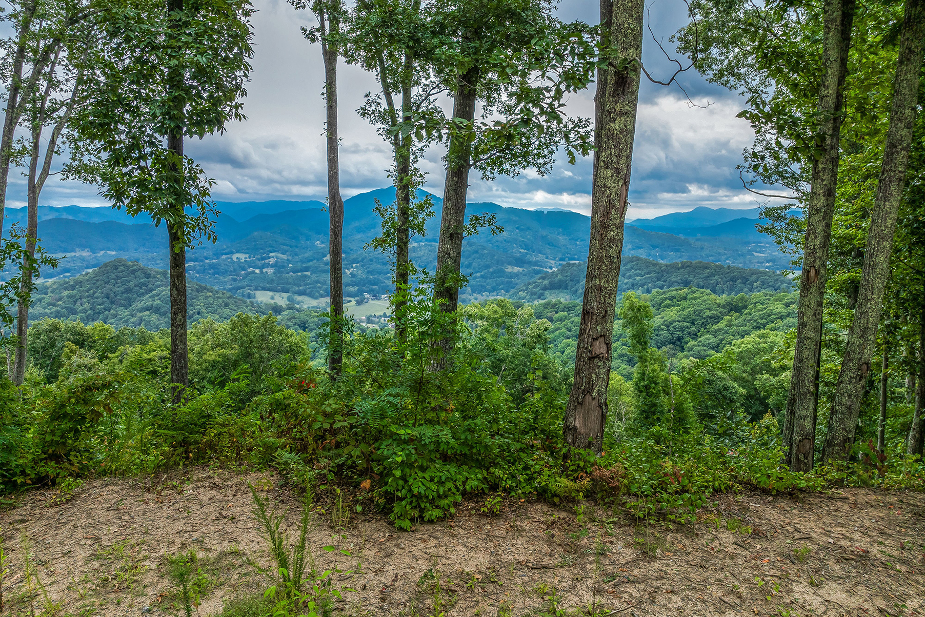 Lot #12 Signature Row Boulevard