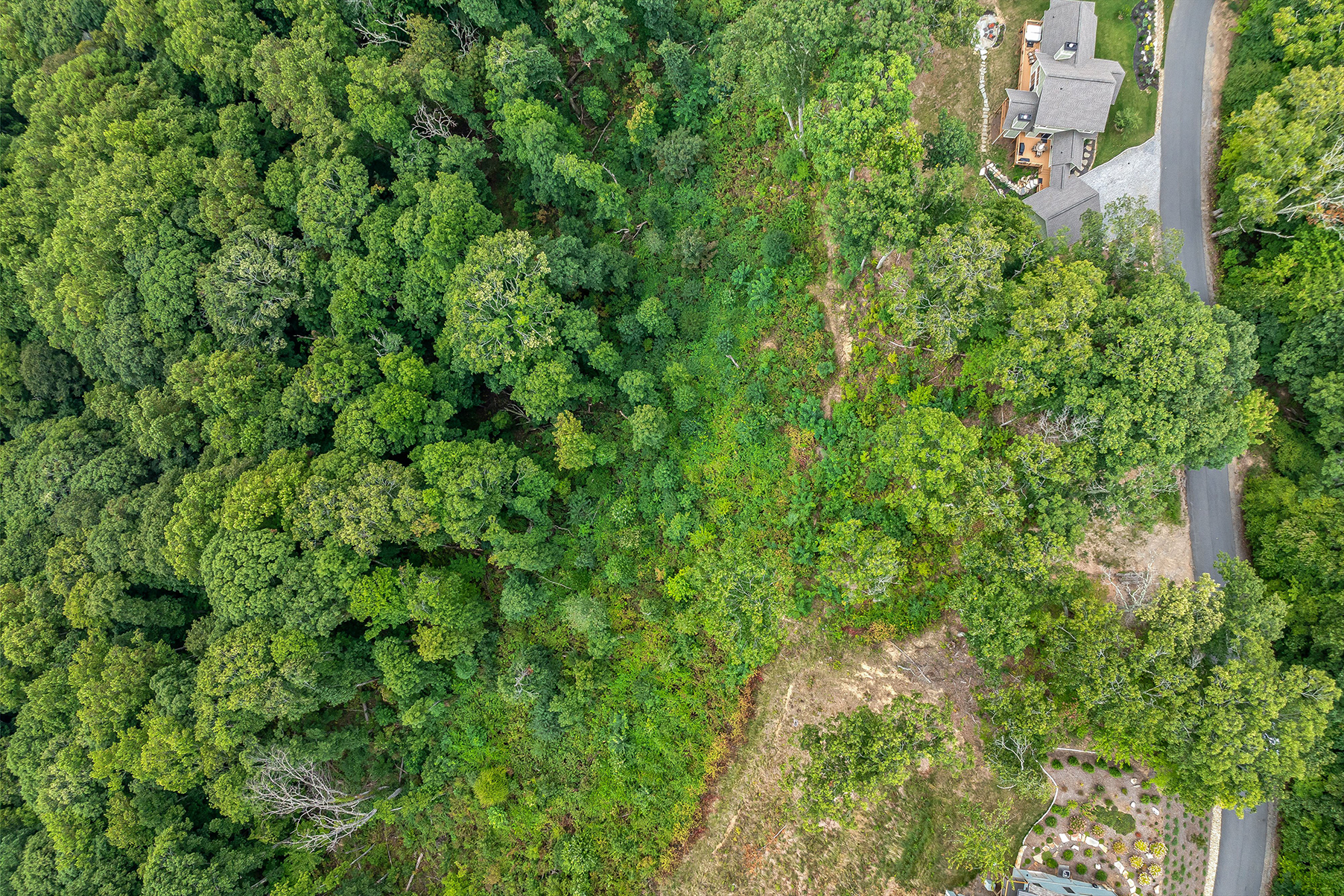 Lot #12 Signature Row Boulevard
