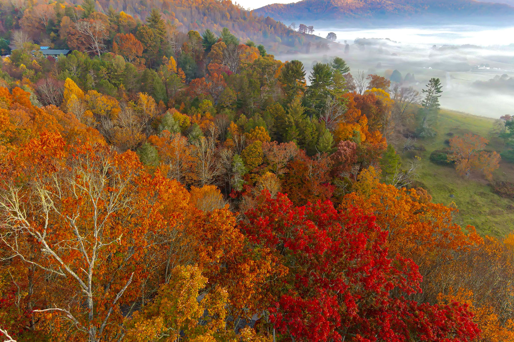 999 Coyote Hollow Road , 39