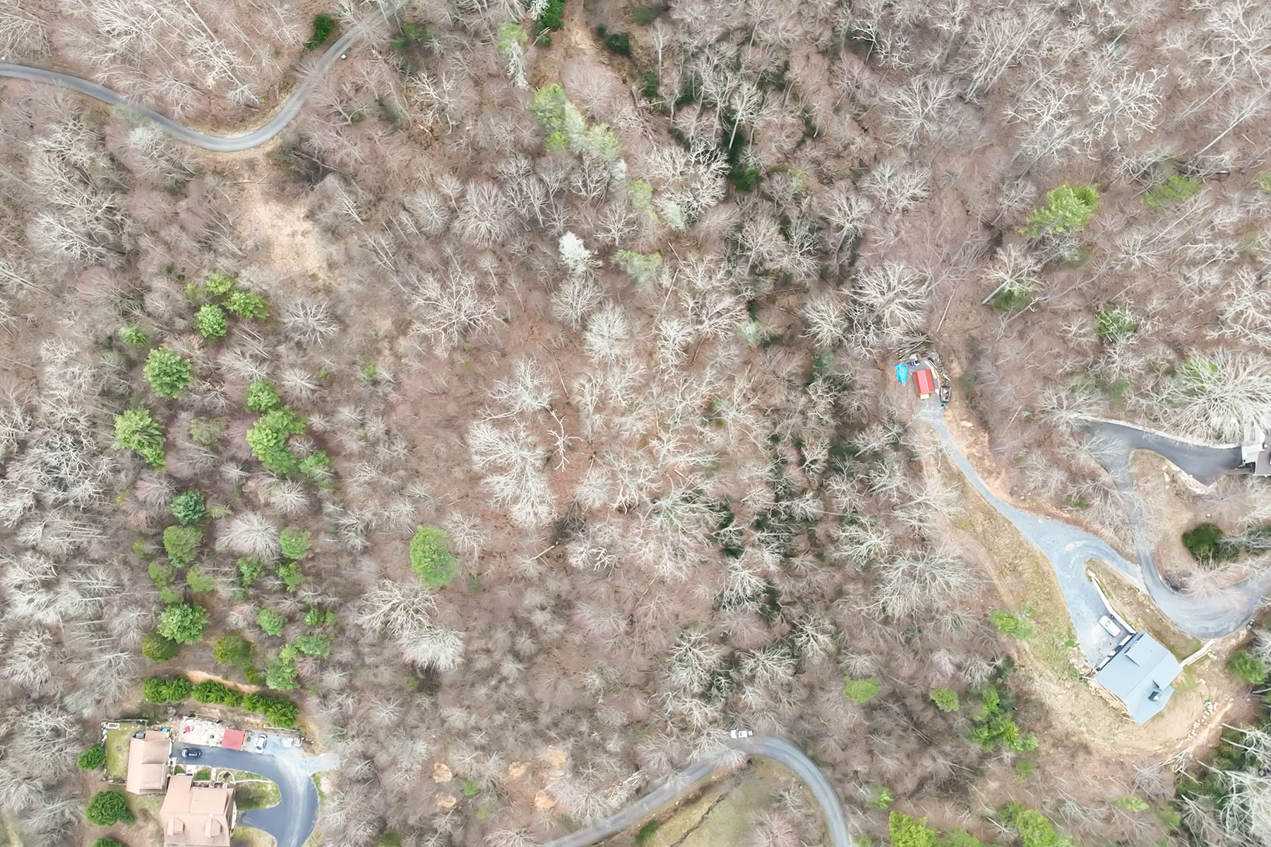 999 Coyote Hollow Road , 39