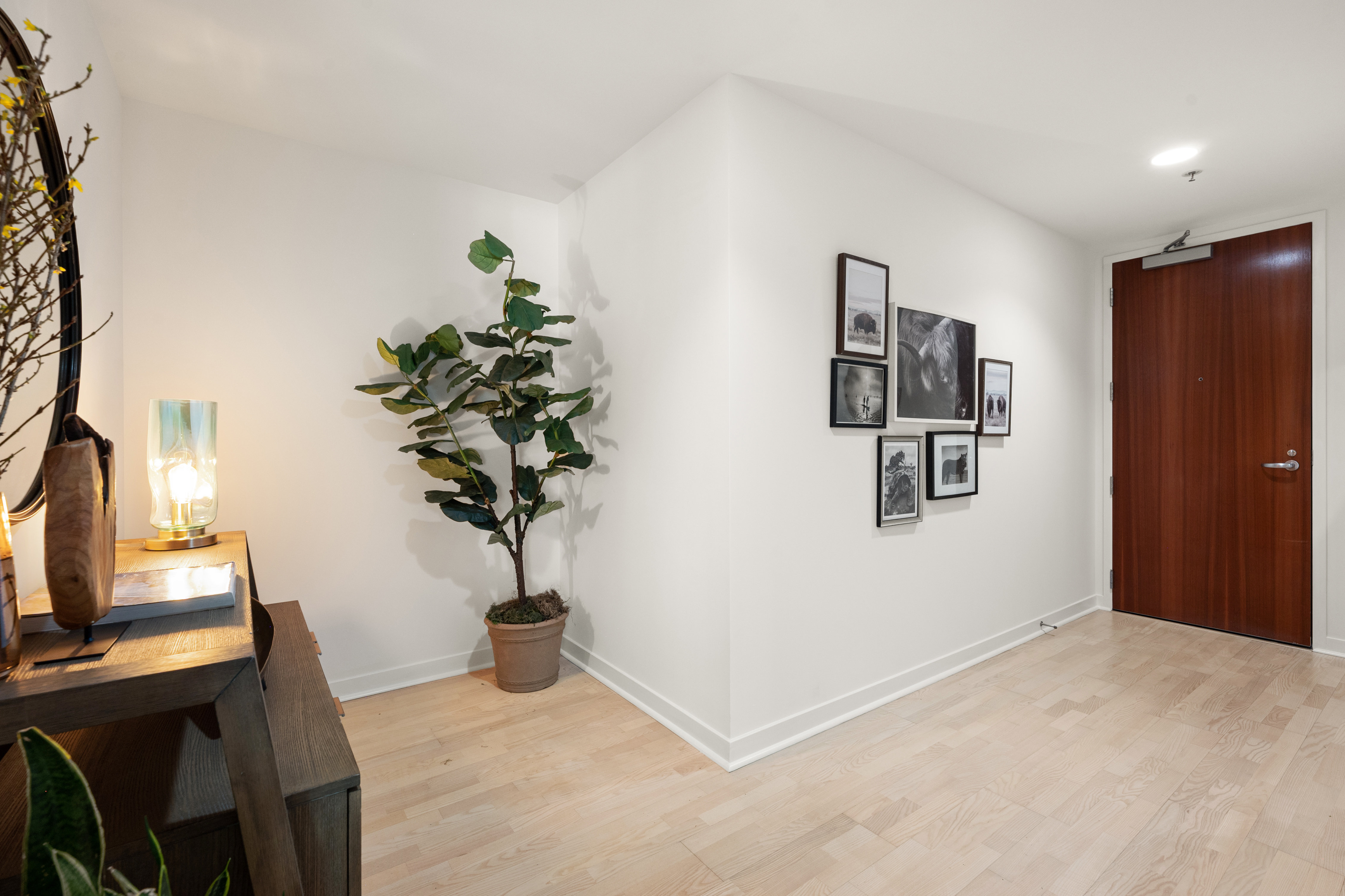 338 Spear Street #3b