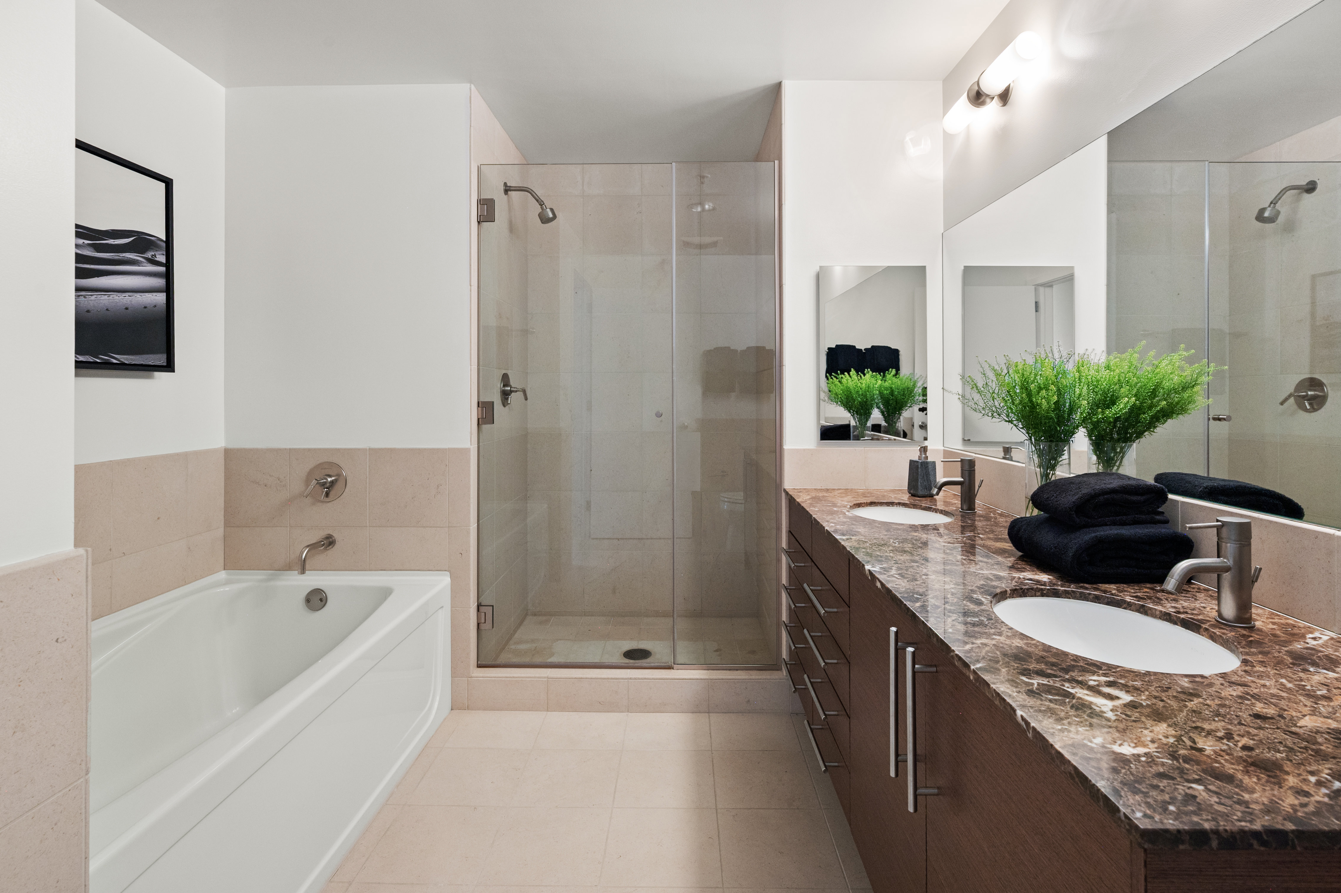 338 Spear Street #3b