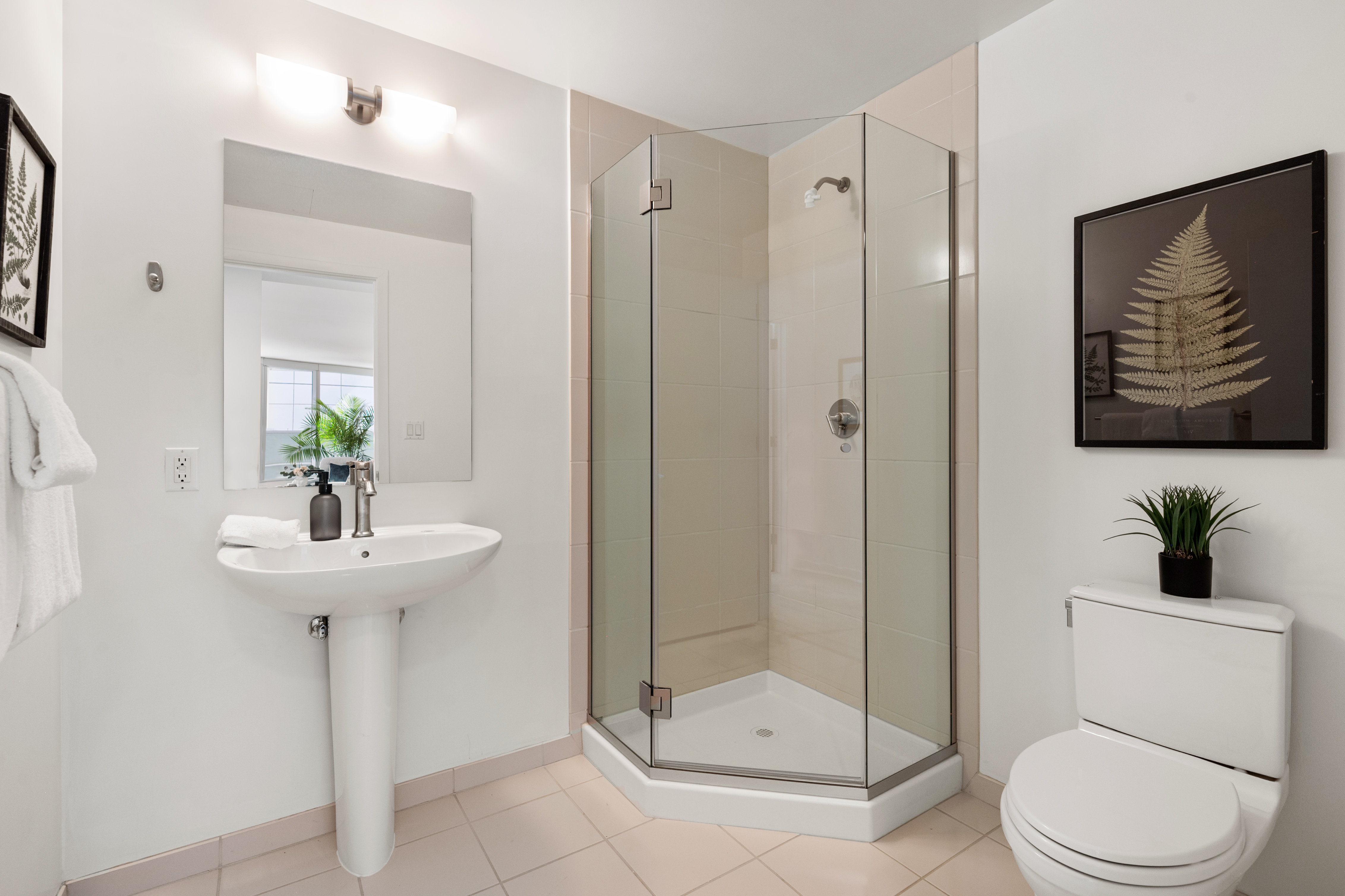 338 Spear Street #3b