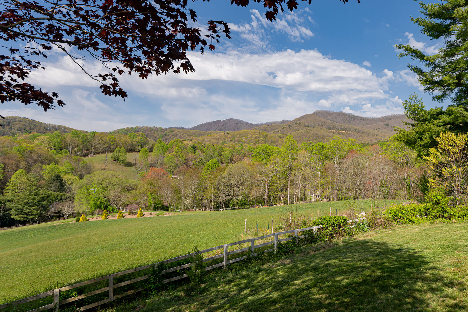 21 Pinnacle Pine Trail