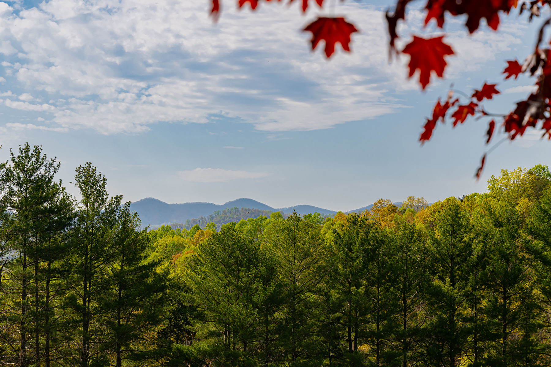 21 Pinnacle Pine Trail