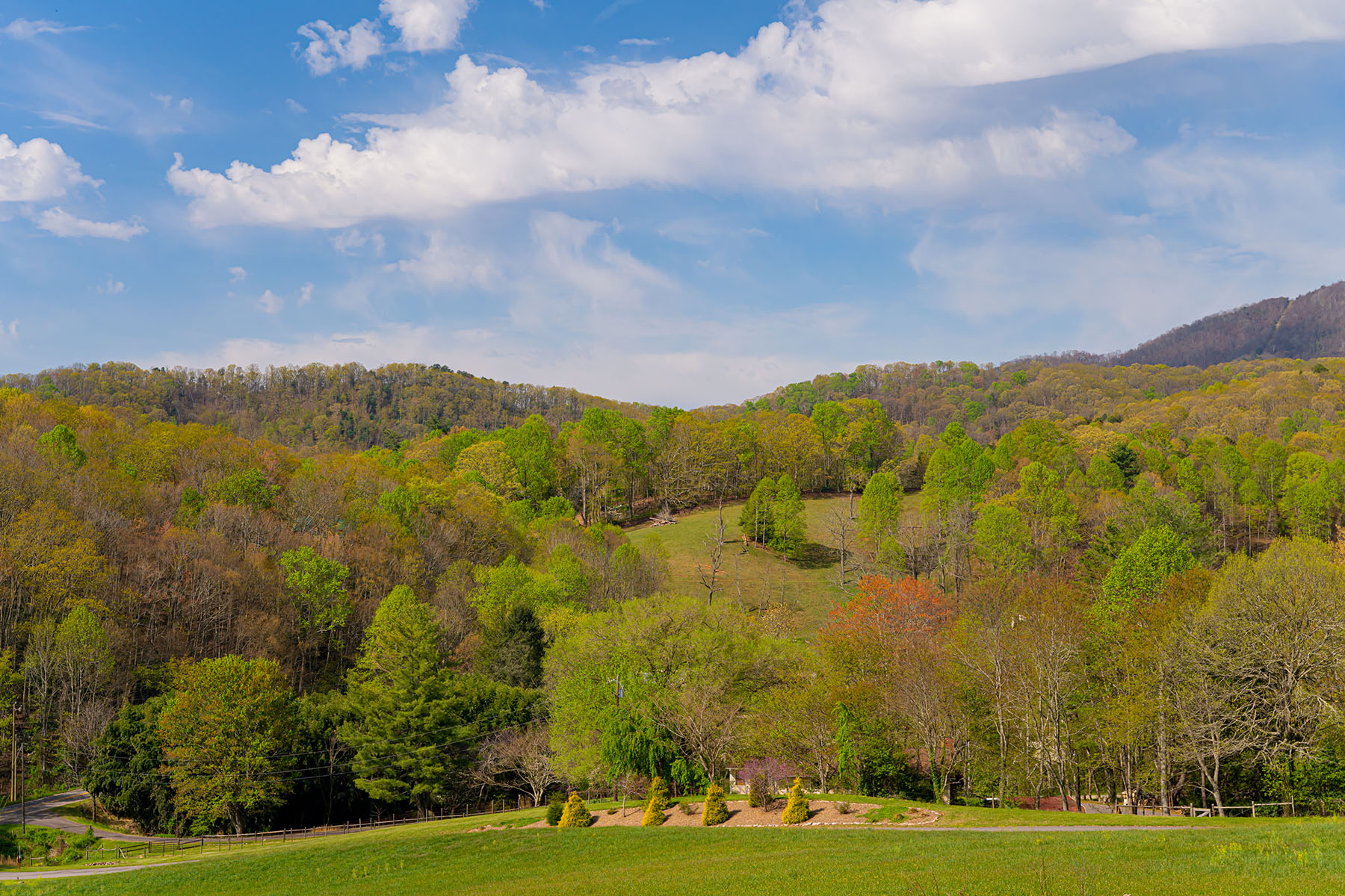 21 Pinnacle Pine Trail