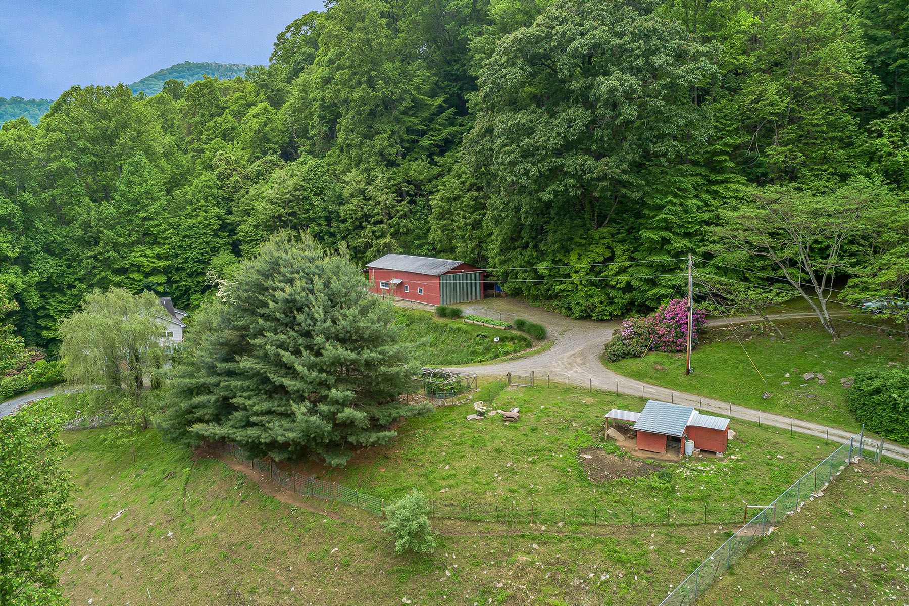 283 Grapevine Cove