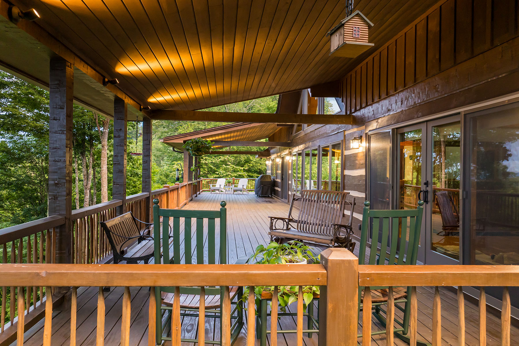 242 Anisidi Trail