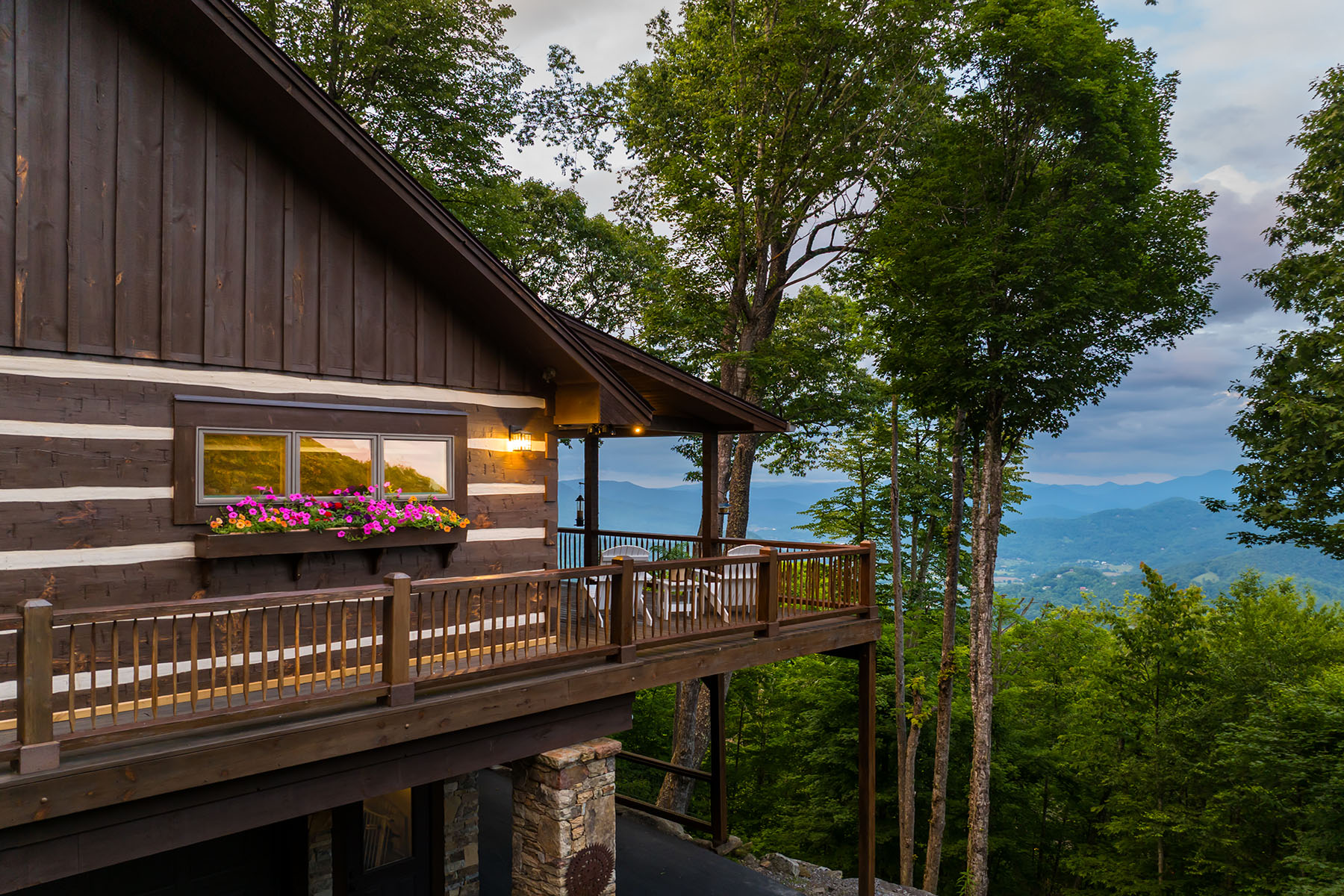 242 Anisidi Trail