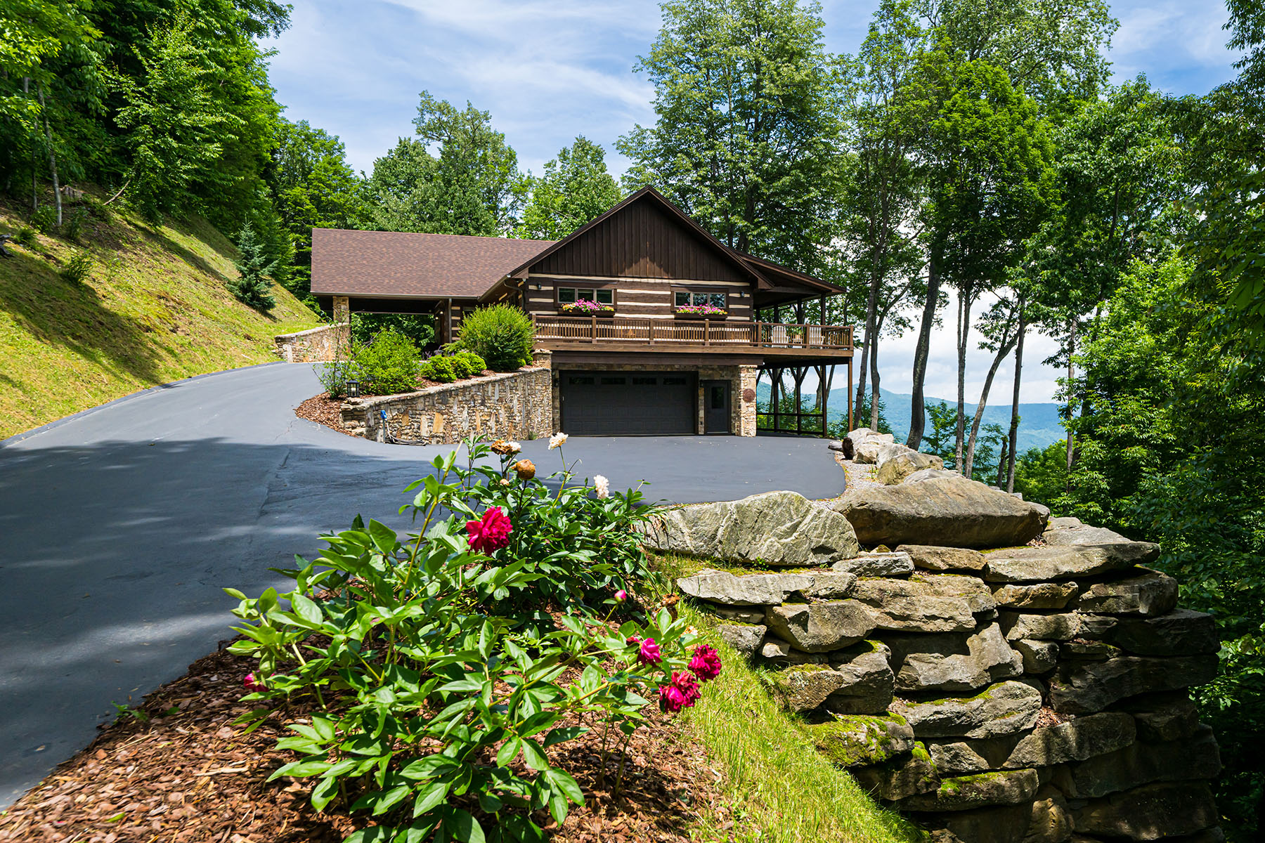 242 Anisidi Trail