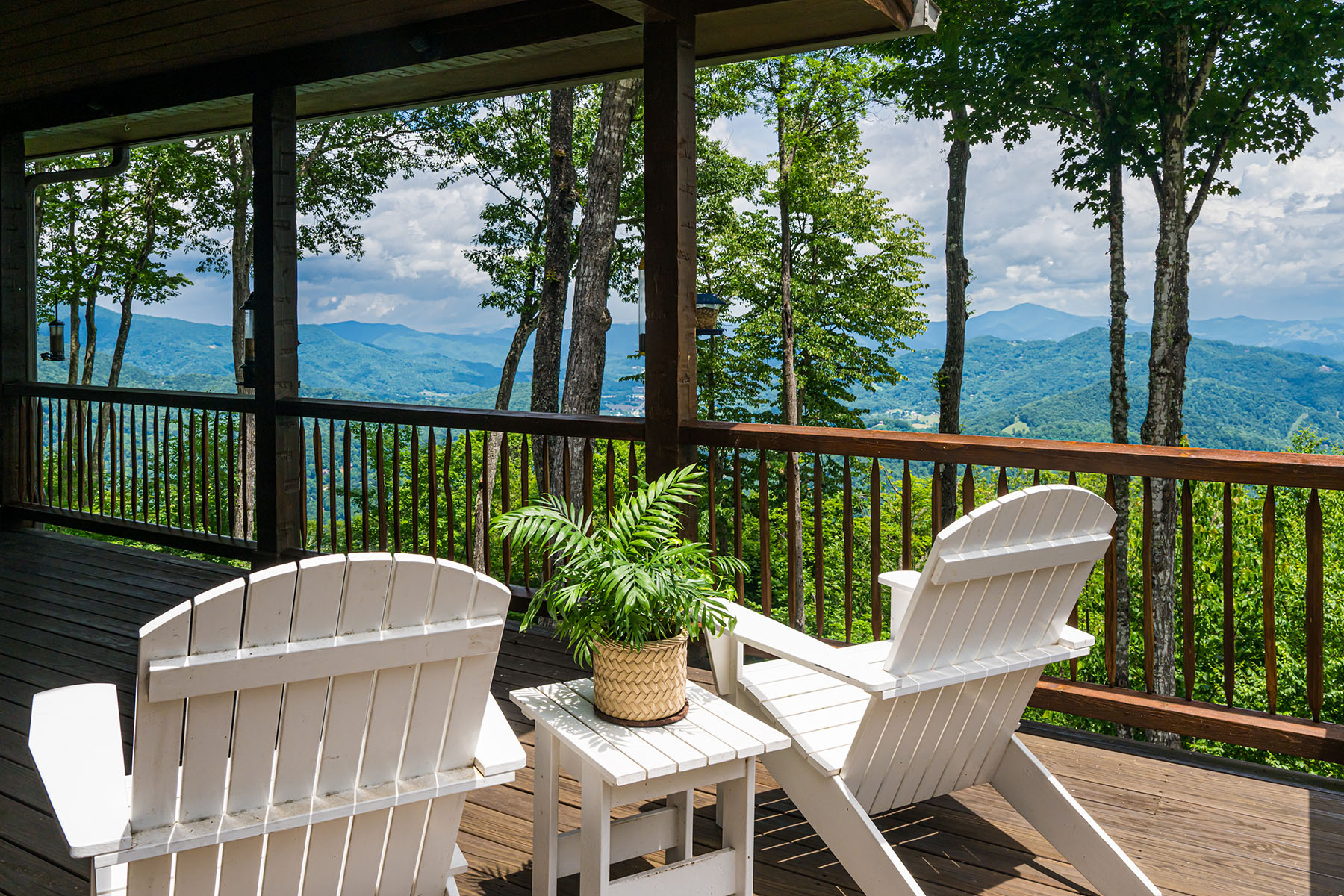 242 Anisidi Trail