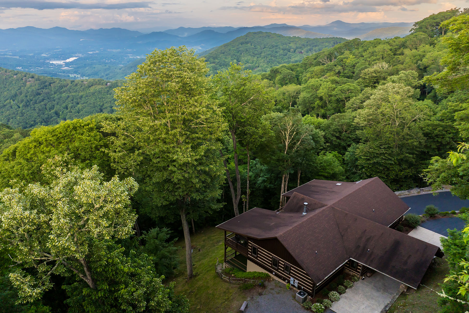 242 Anisidi Trail