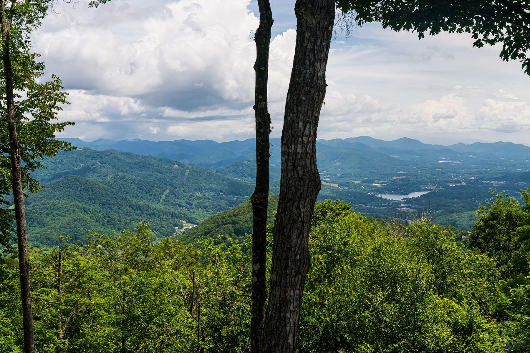 242 Anisidi Trail
