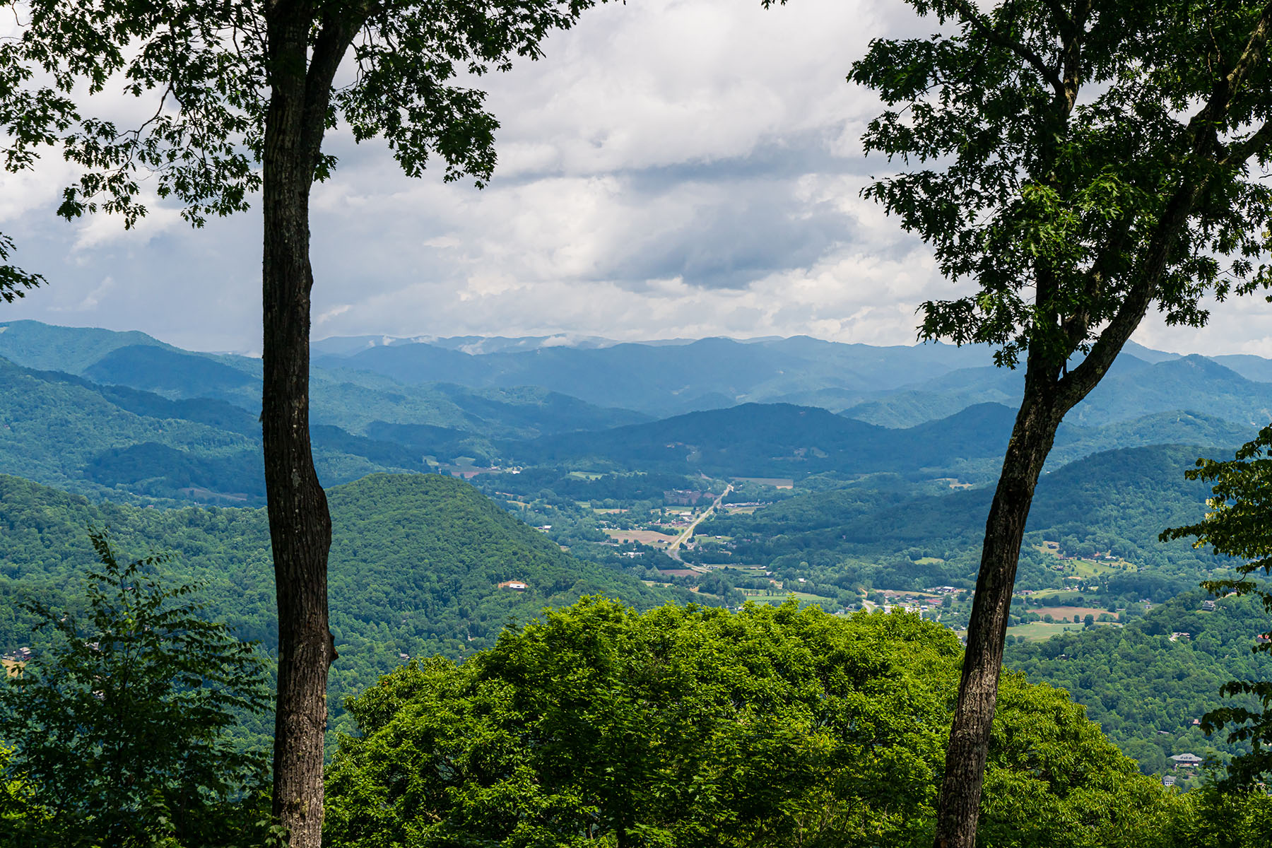 242 Anisidi Trail