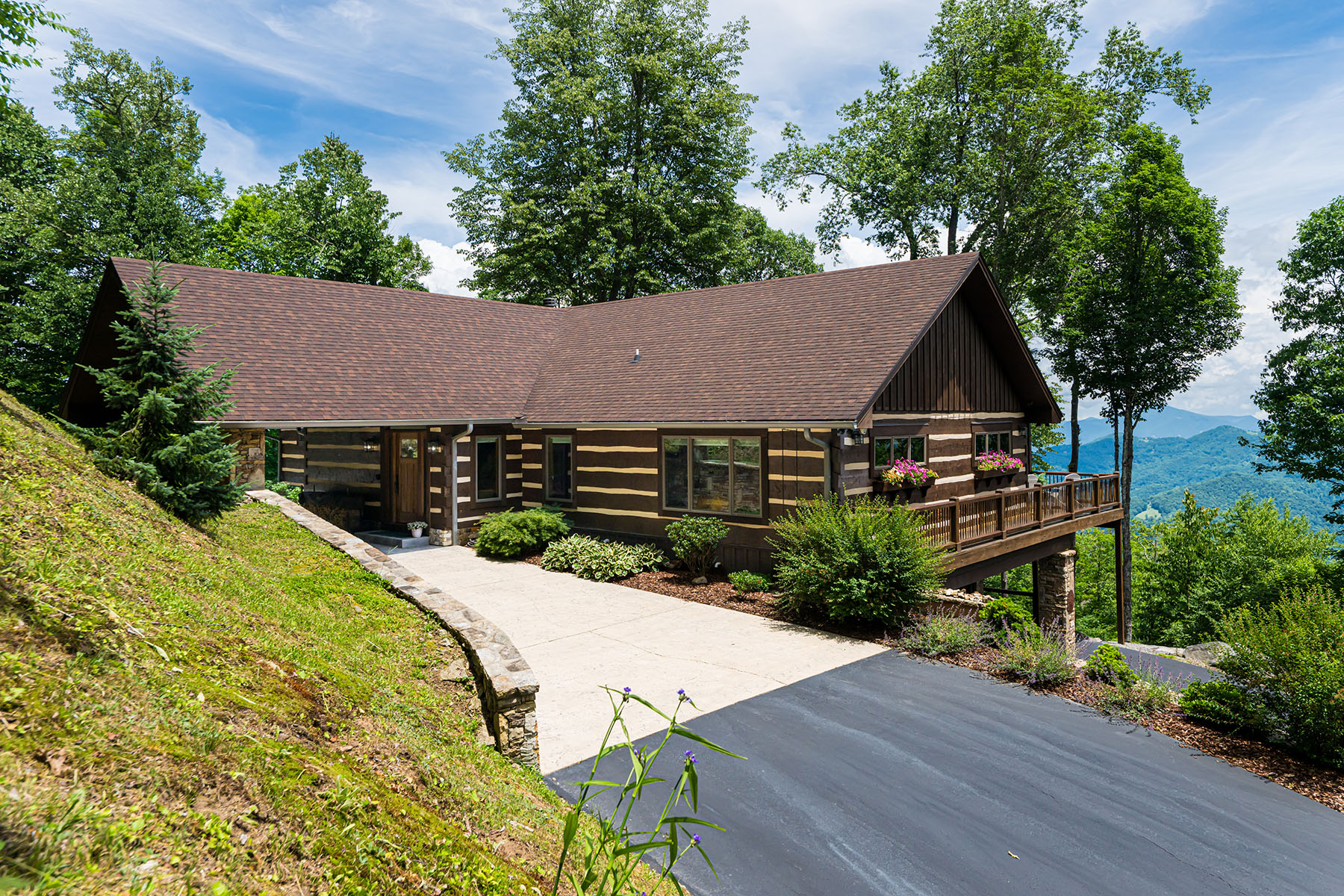 242 Anisidi Trail
