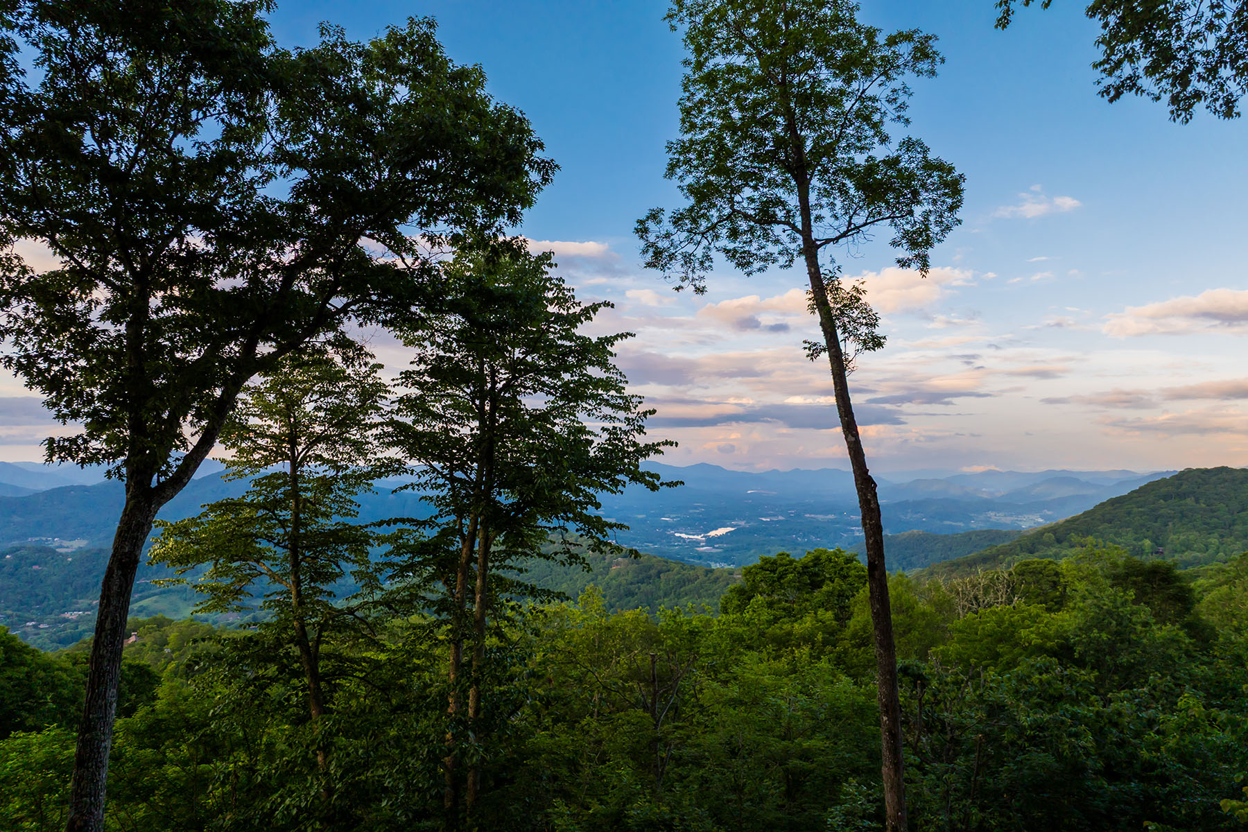 242 Anisidi Trail