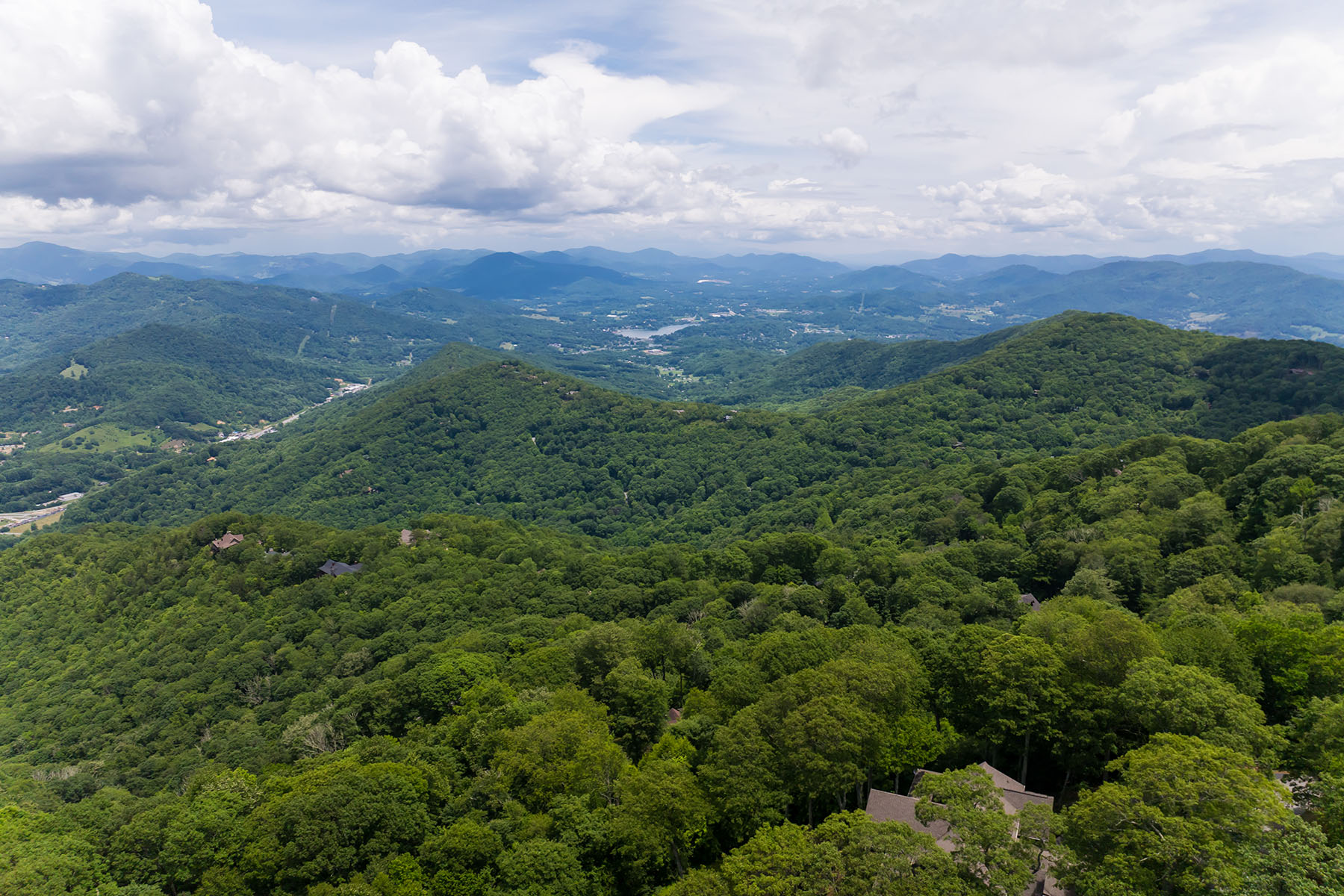 242 Anisidi Trail