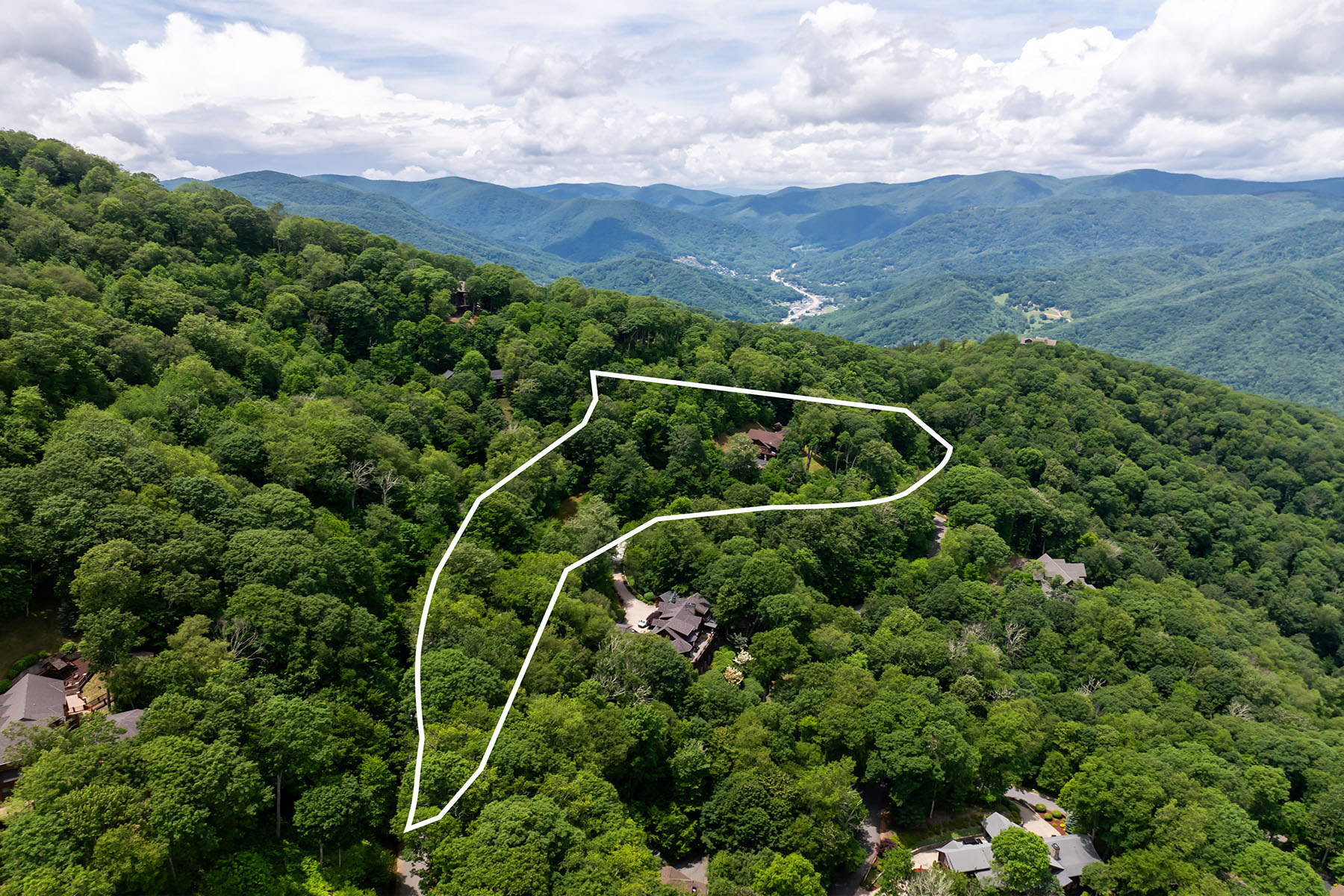 242 Anisidi Trail