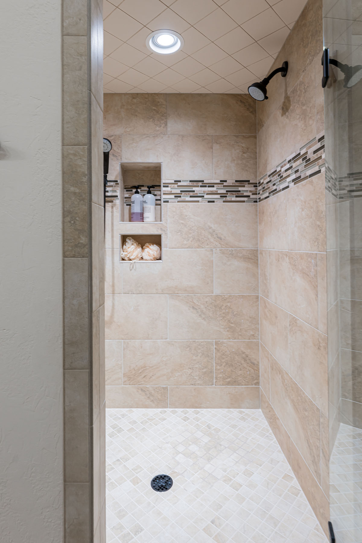 242 Anisidi Trail