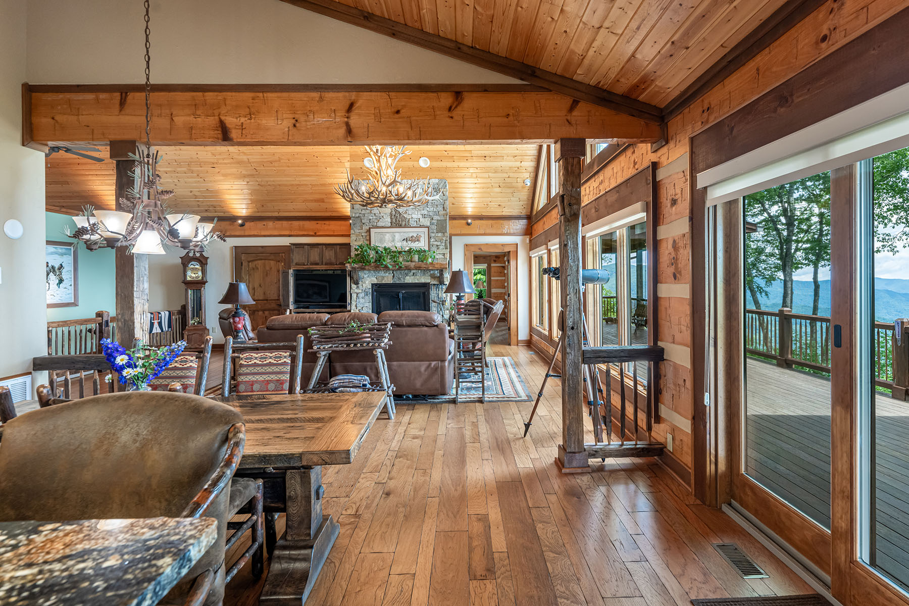 242 Anisidi Trail