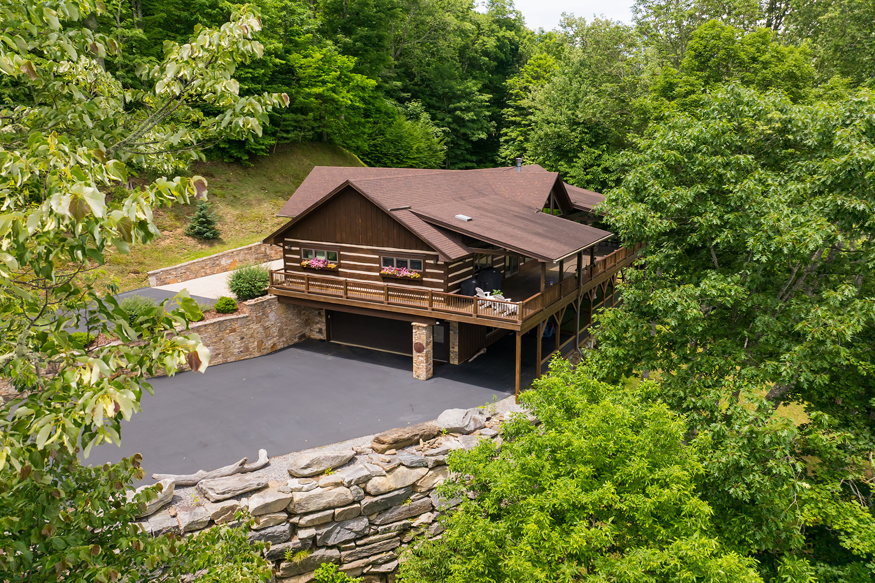 242 Anisidi Trail