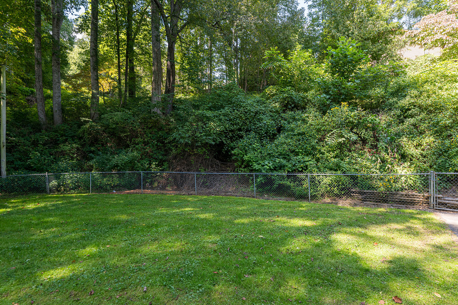 939 Mountain Lake Drive