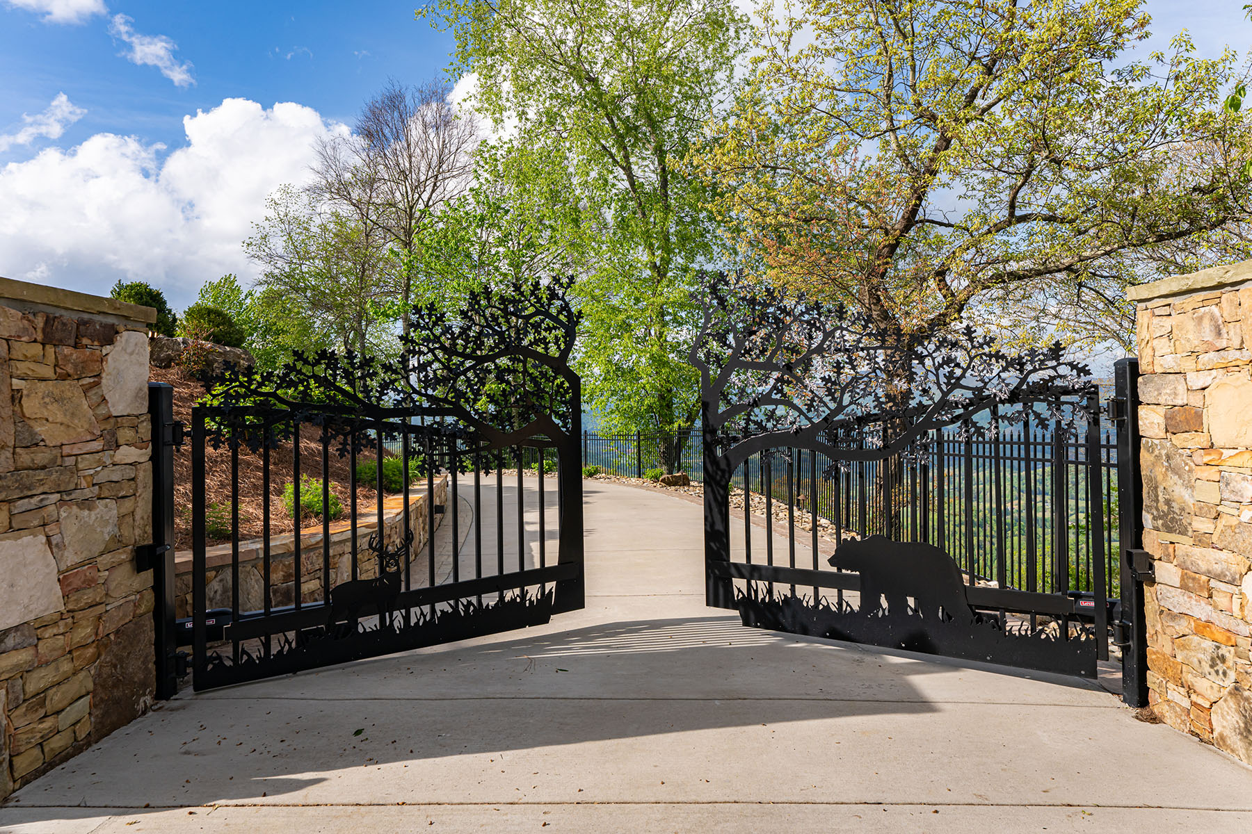 376 Wandering Trail