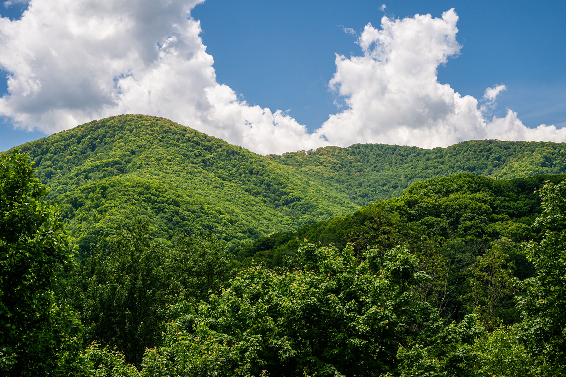 14 Marlin Trail