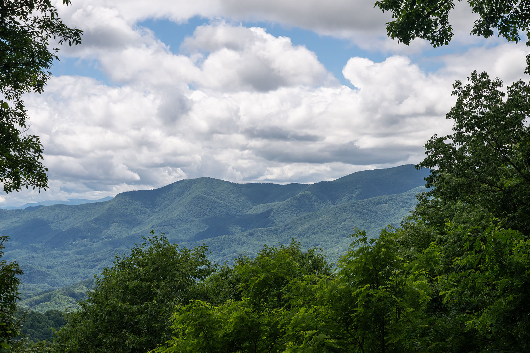4900 Preserve Road