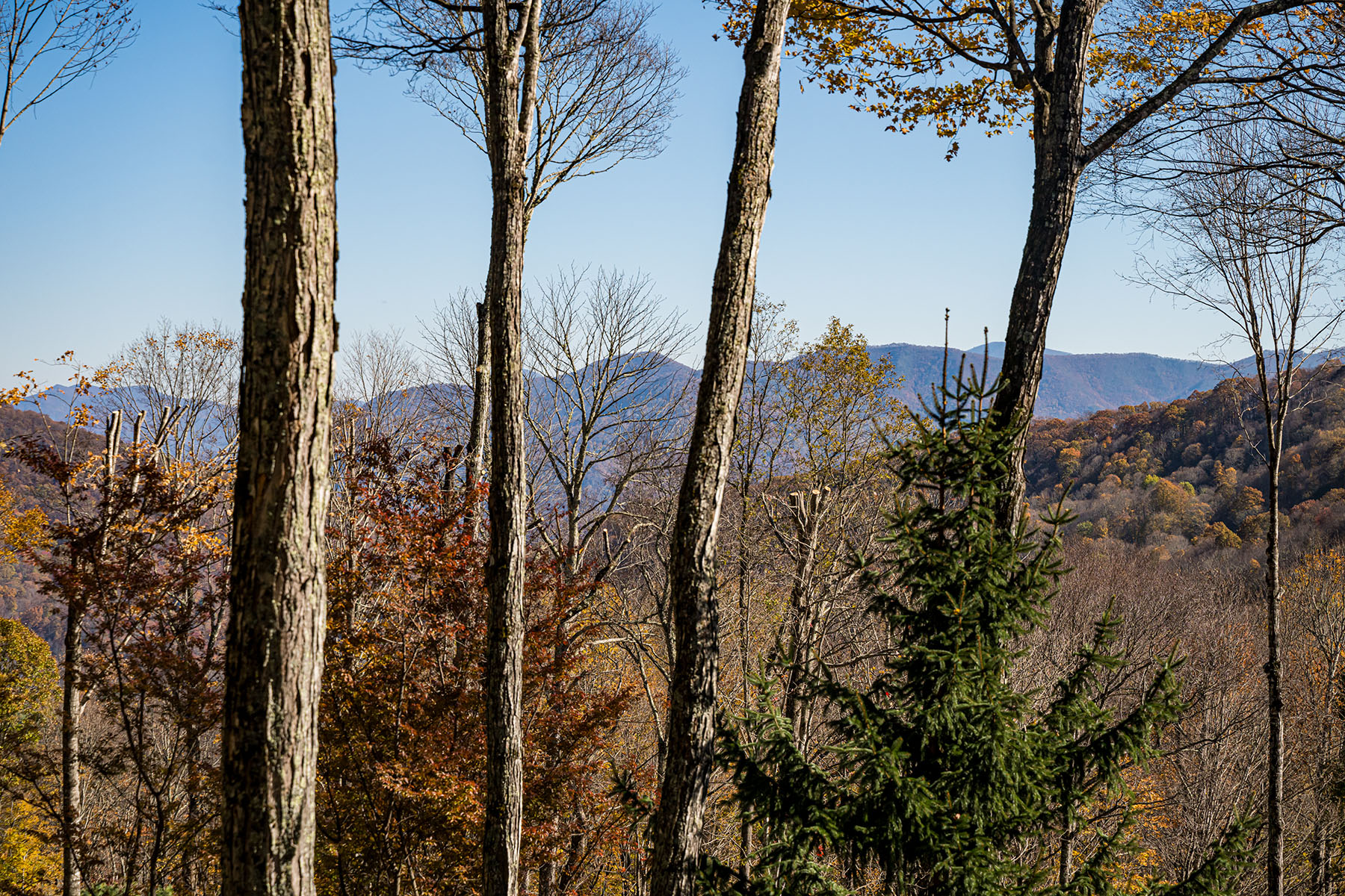 580 Flying Hawk Trail