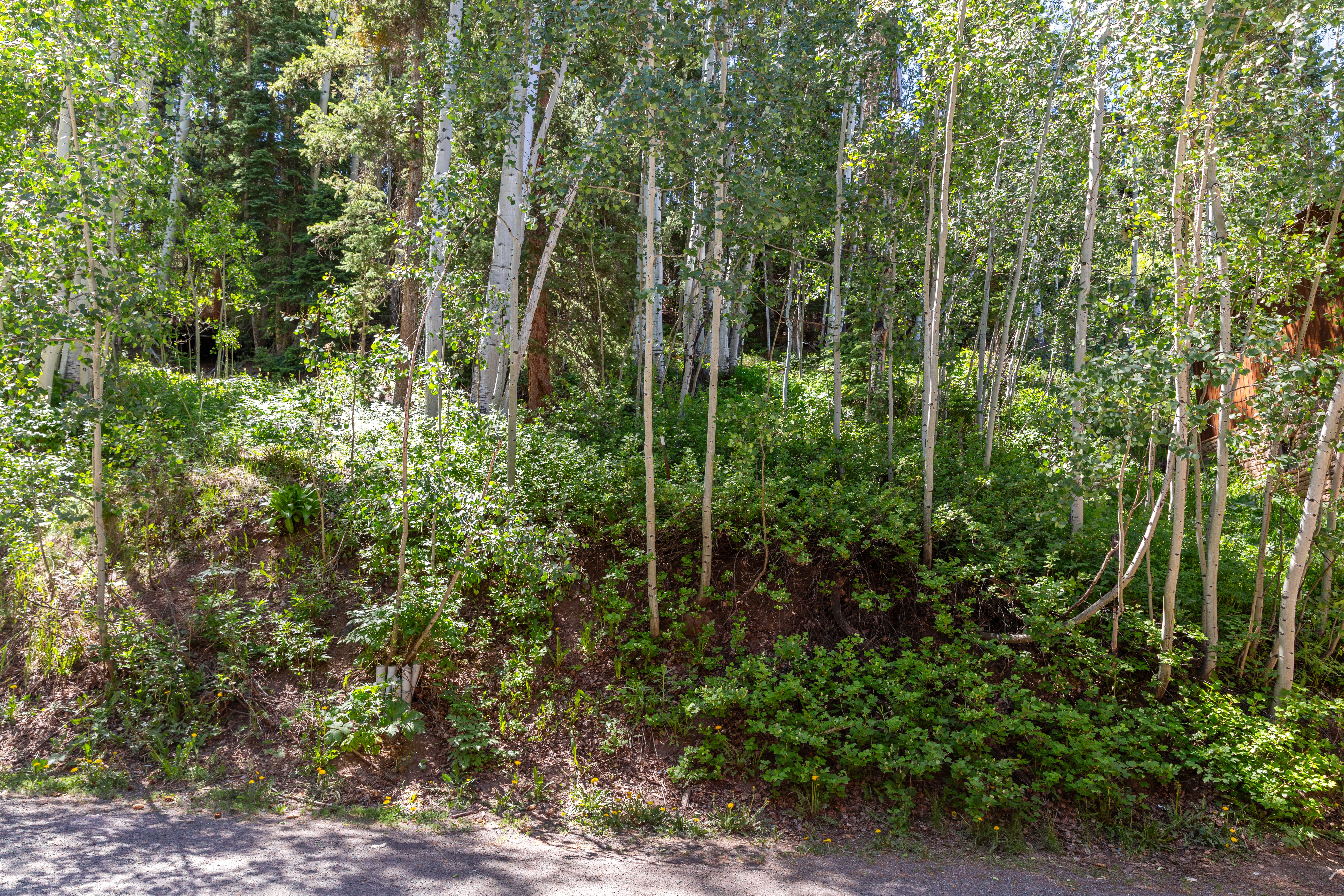 8 Spring Creek Drive 